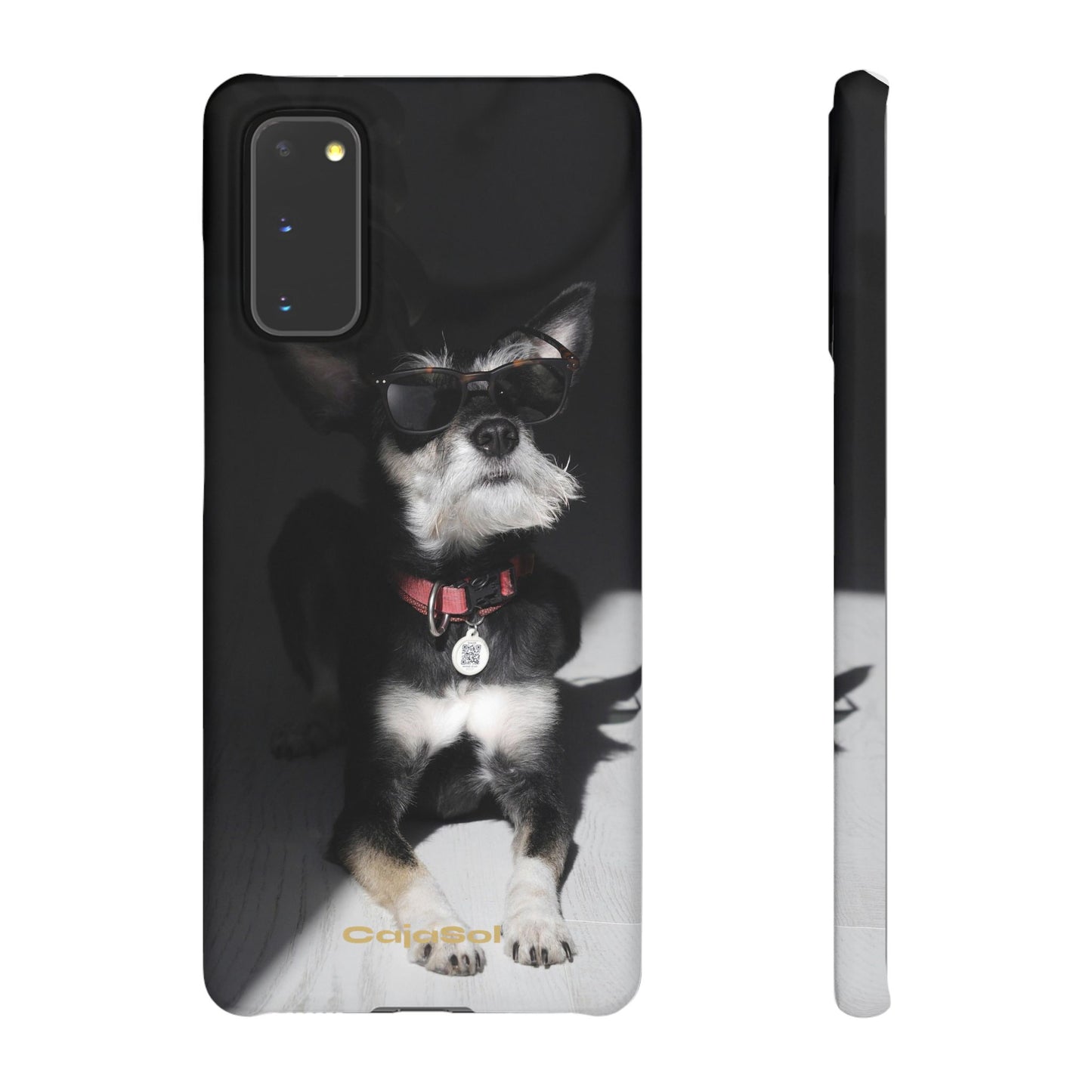 Cool Dog Cajasol - Stylish Pet