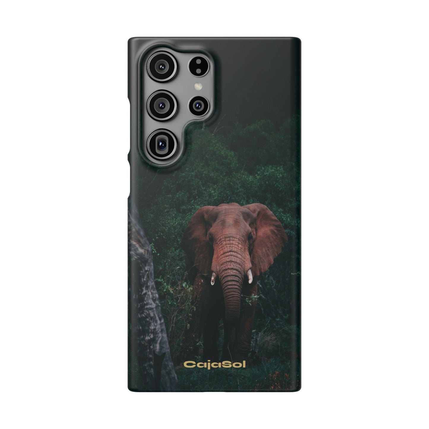 Wildlife Lover's Cajasol - Majestic Elephant