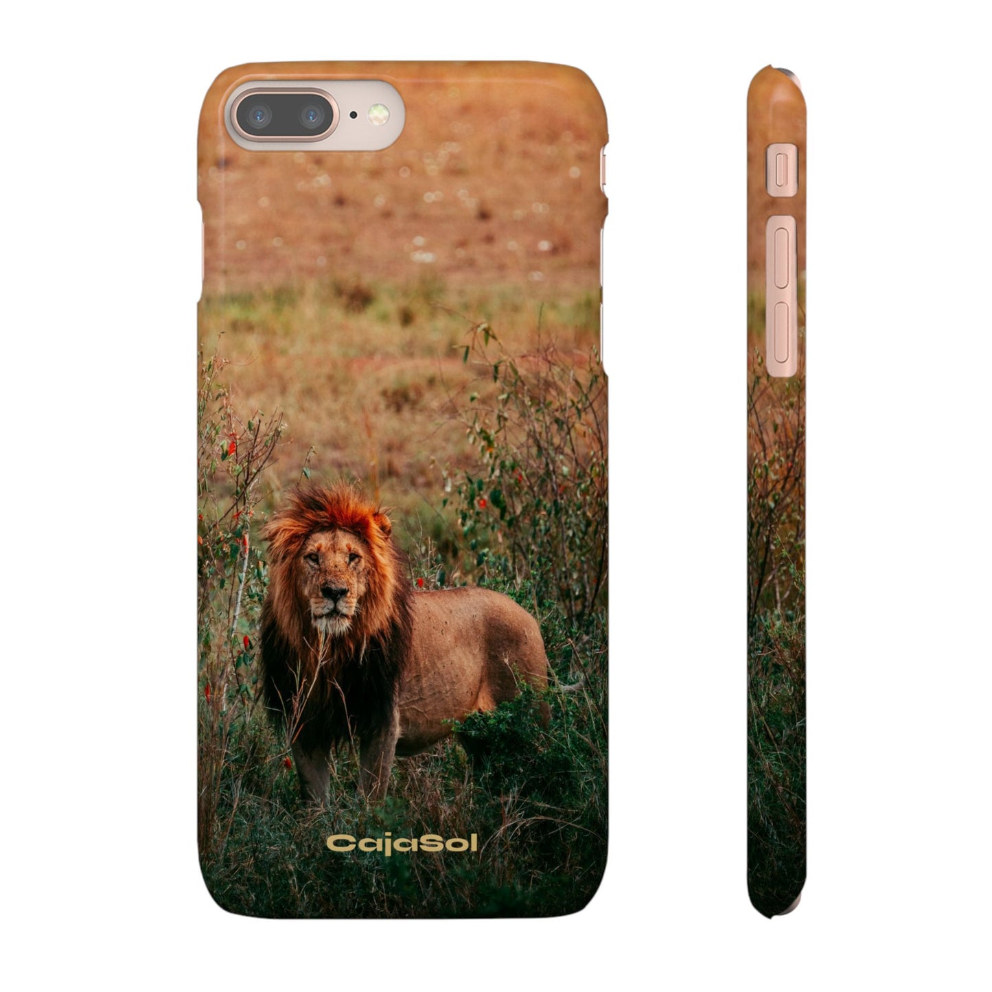 Majestic Lion Cajasol - Nature Inspired