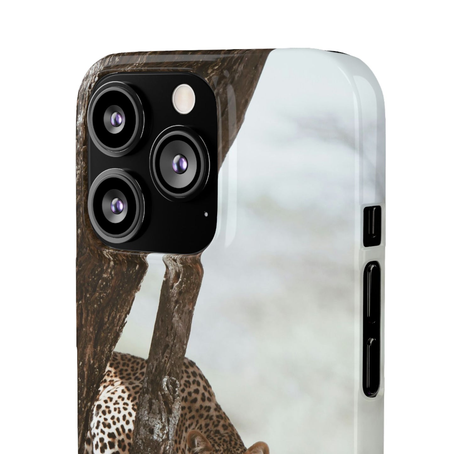 Leopard Cajasol - Wildlife Vibes