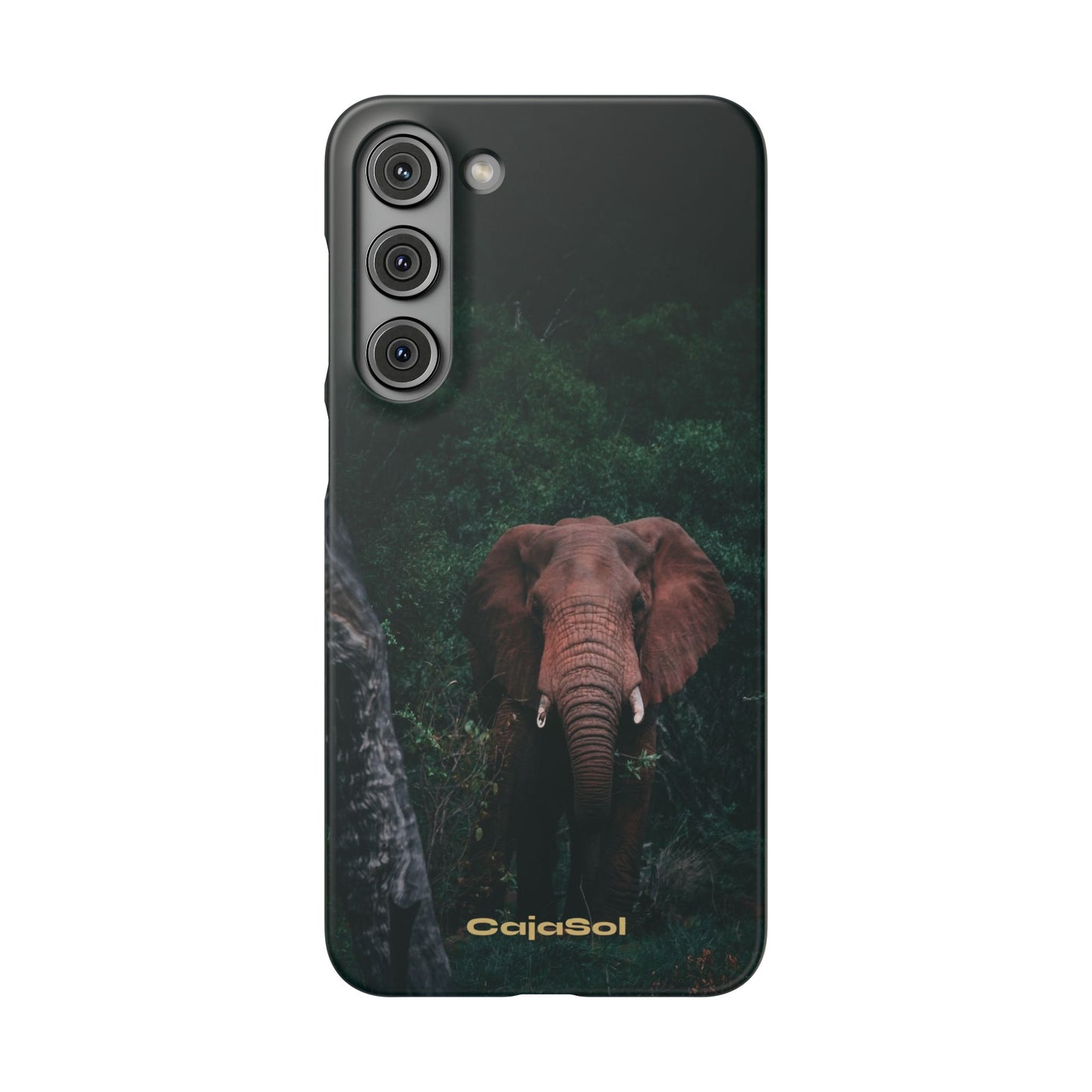Wildlife Lover's Cajasol - Majestic Elephant