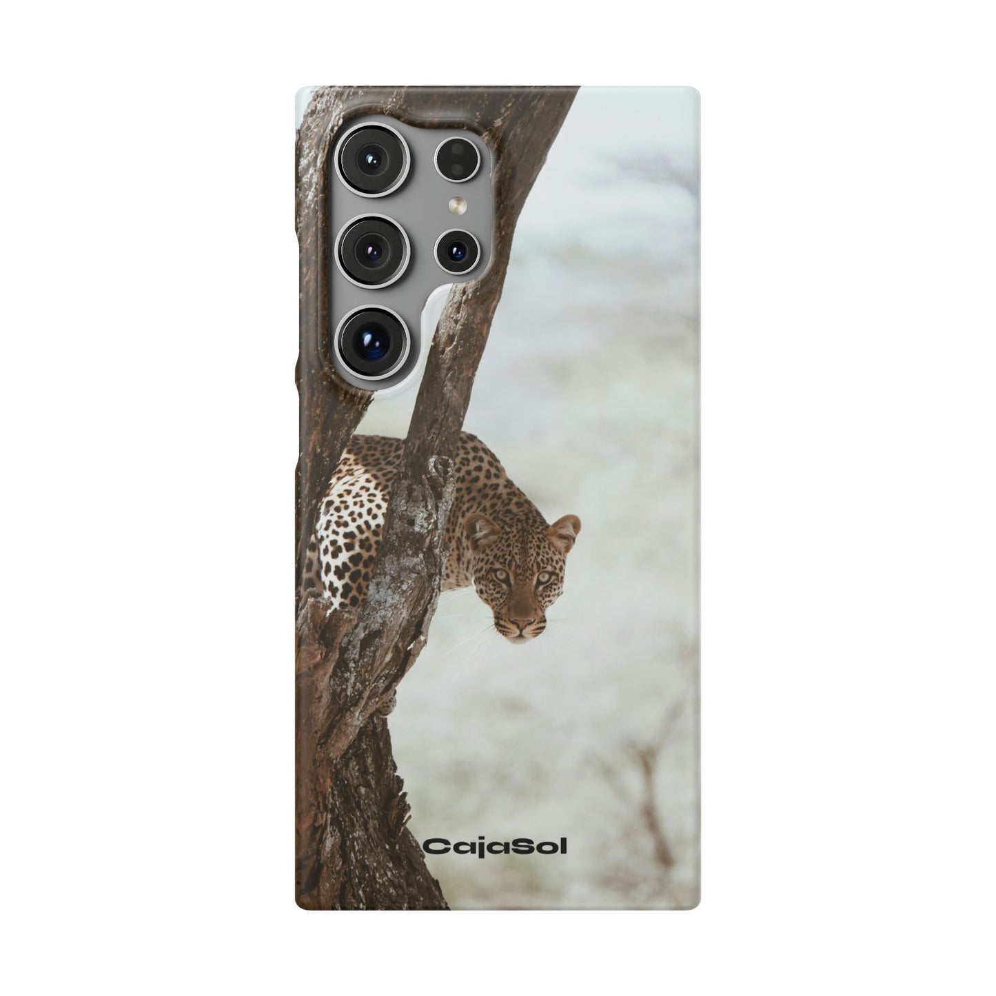 Leopard Cajasol - Wildlife Vibes