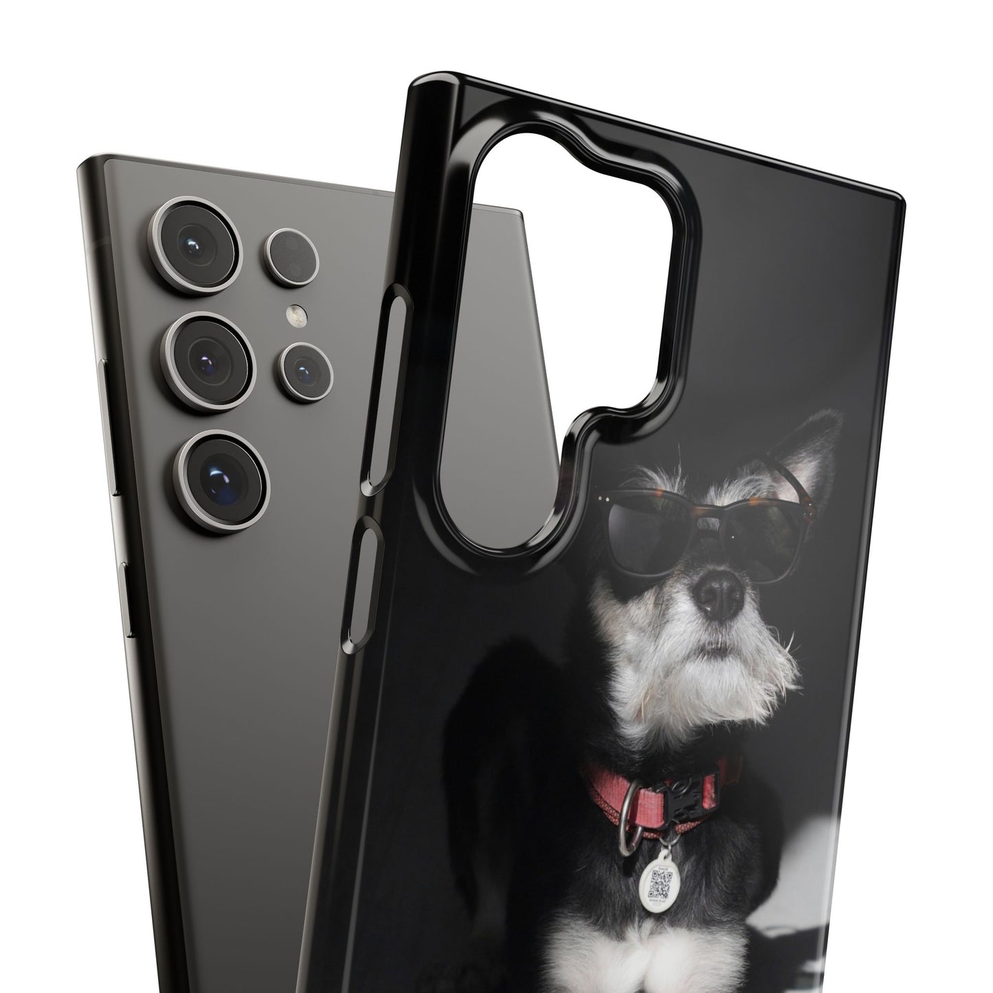 Cool Dog Cajasol - Stylish Pet