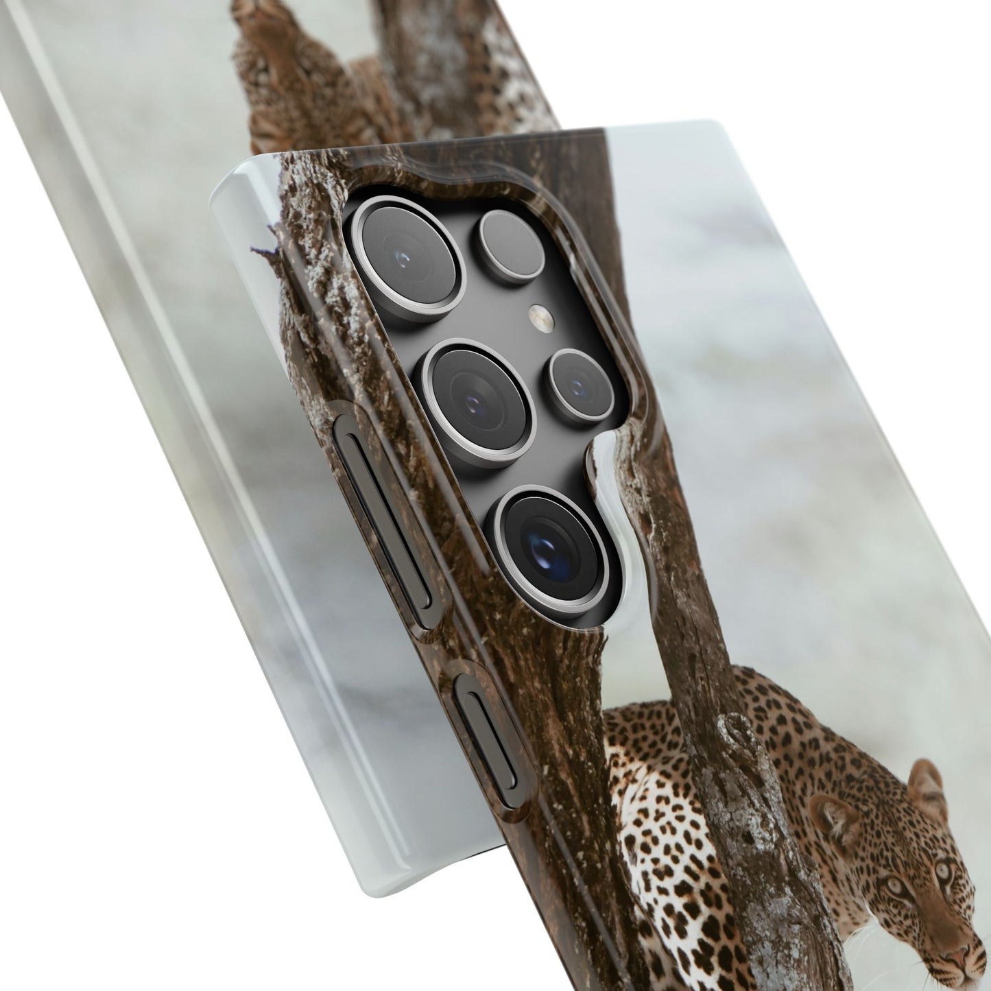Leopard Cajasol - Wildlife Vibes