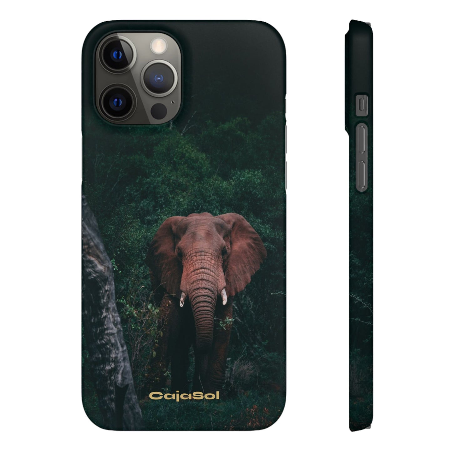 Wildlife Lover's Cajasol - Majestic Elephant