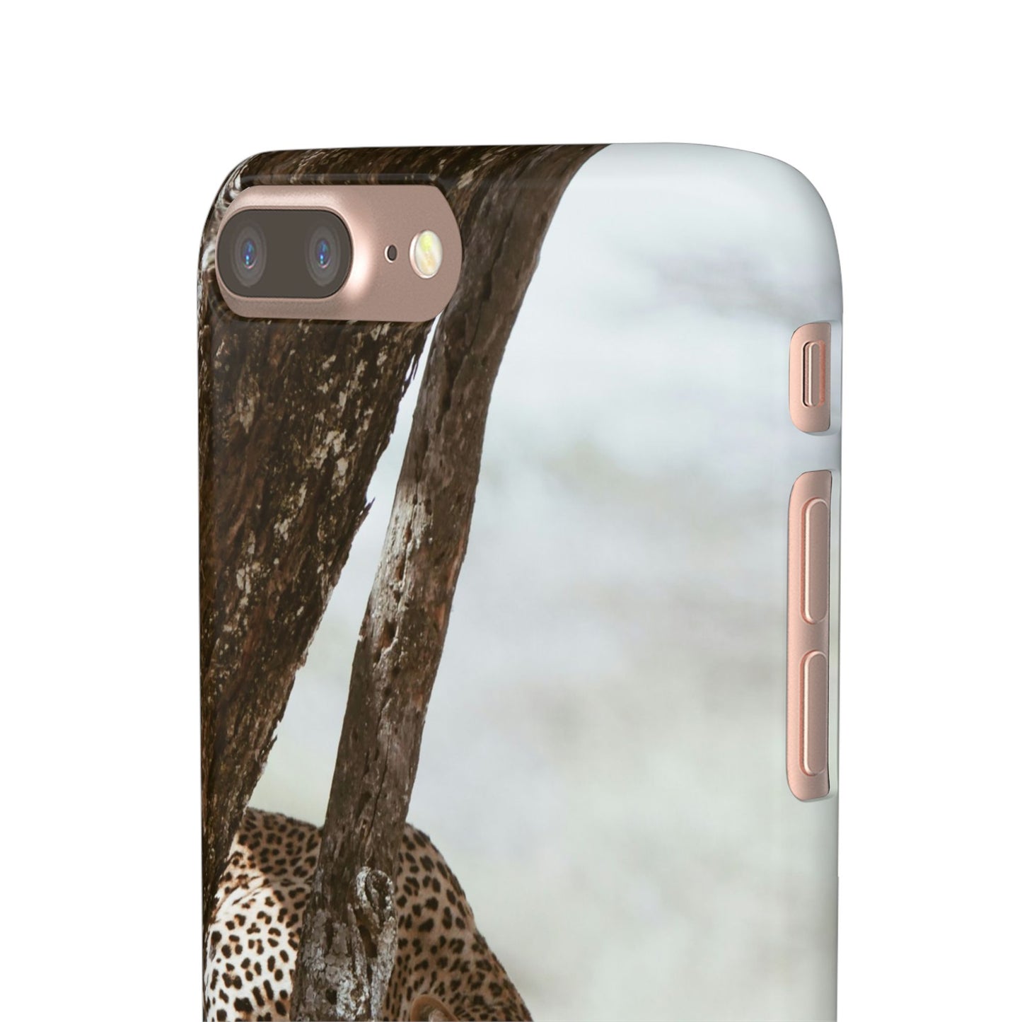 Leopard Cajasol - Wildlife Vibes