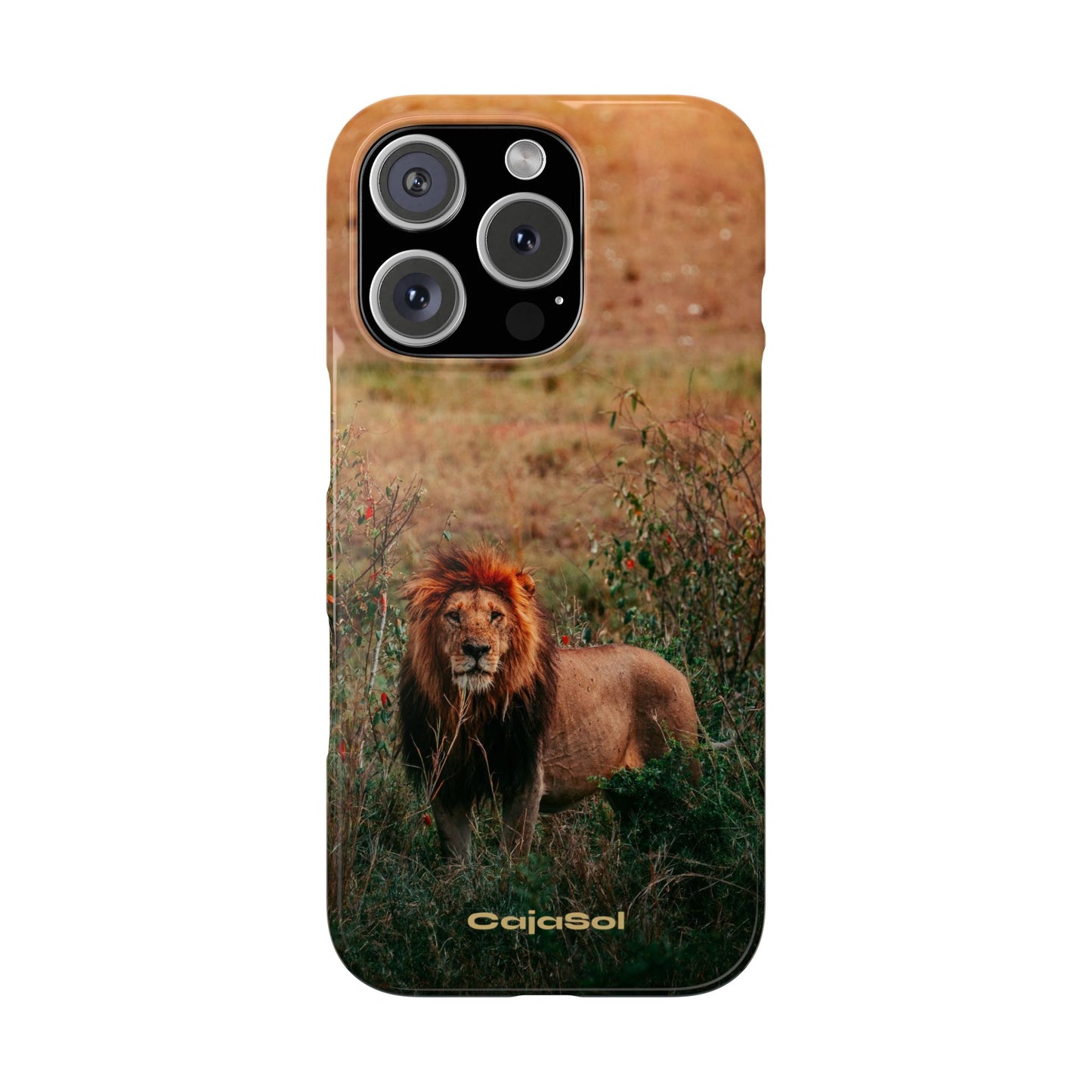 Majestic Lion Cajasol - Nature Inspired