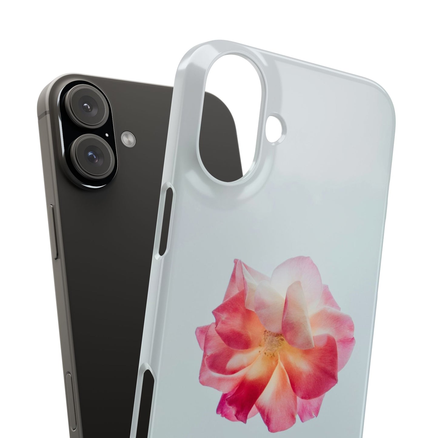 Floral Cajasol - Elegant Pink Flower