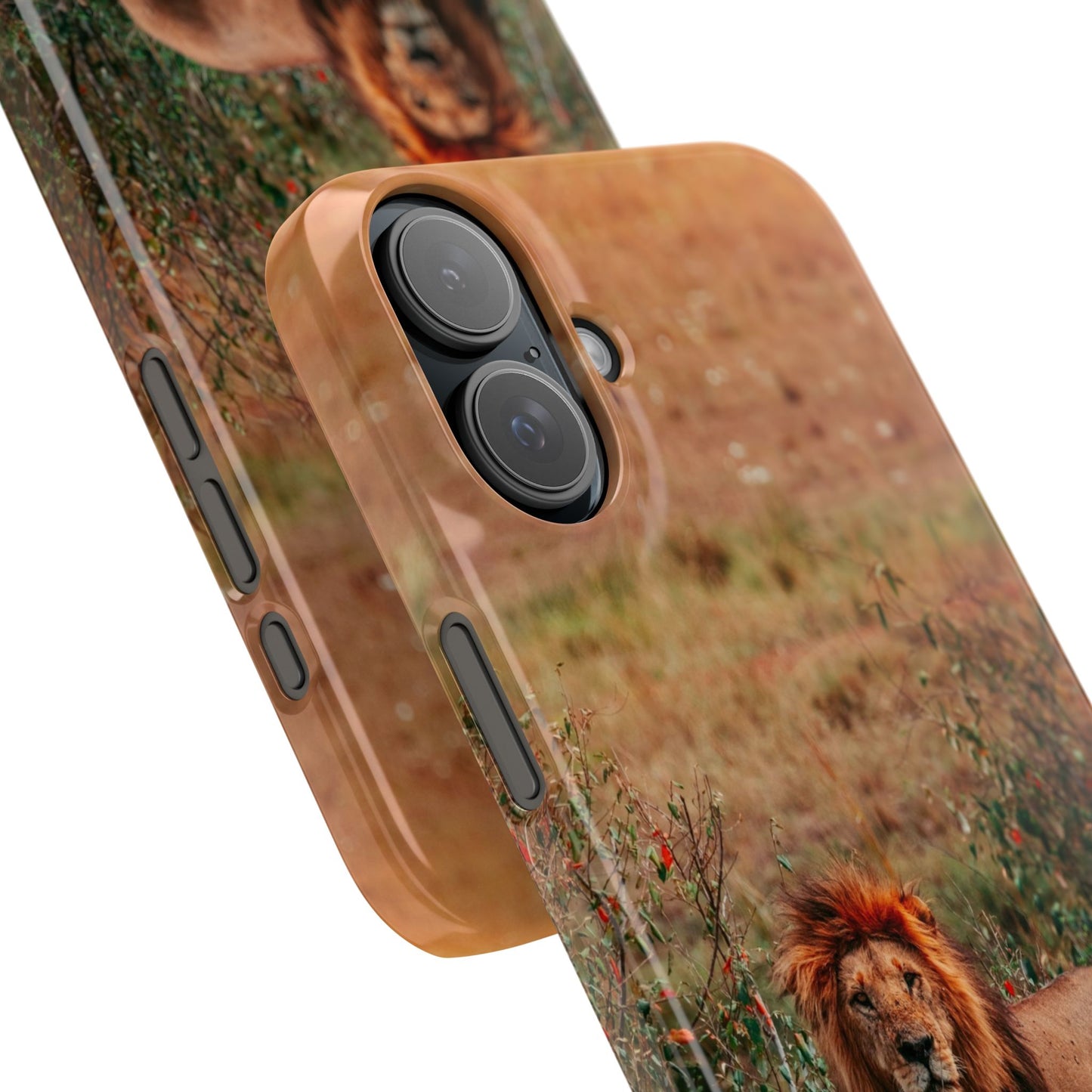 Majestic Lion Cajasol - Nature Inspired