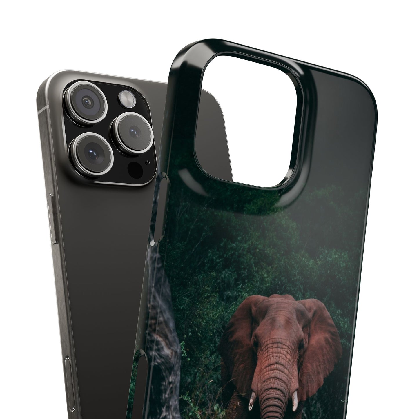 Wildlife Lover's Cajasol - Majestic Elephant
