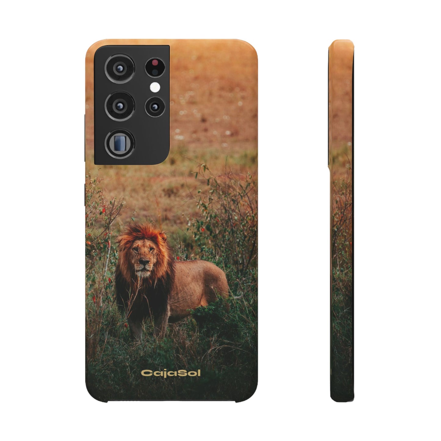 Majestic Lion Cajasol - Nature Inspired