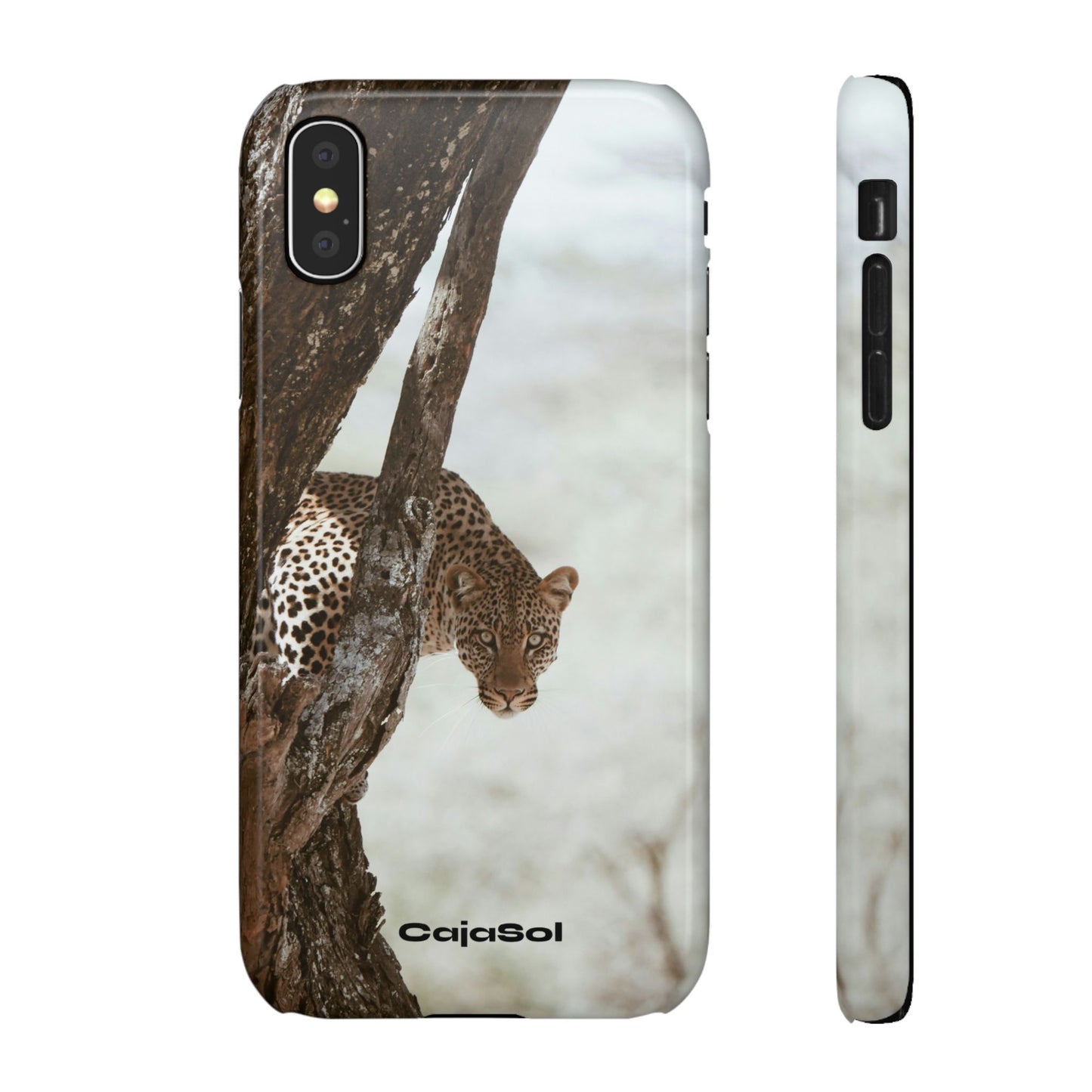 Leopard Cajasol - Wildlife Vibes