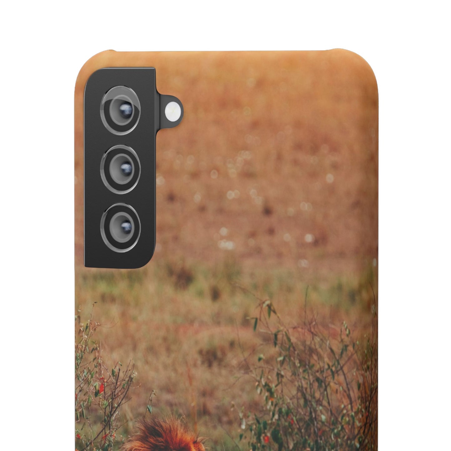 Majestic Lion Cajasol - Nature Inspired