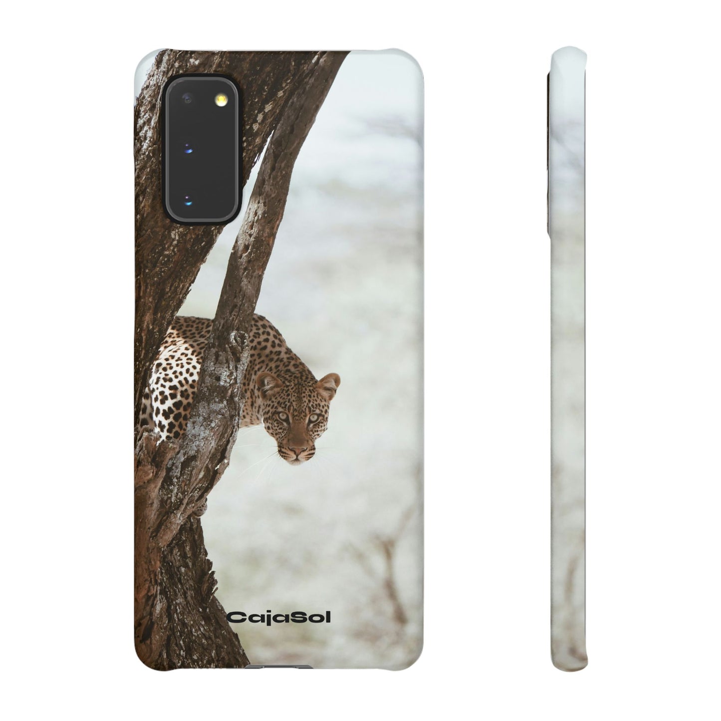 Leopard Cajasol - Wildlife Vibes