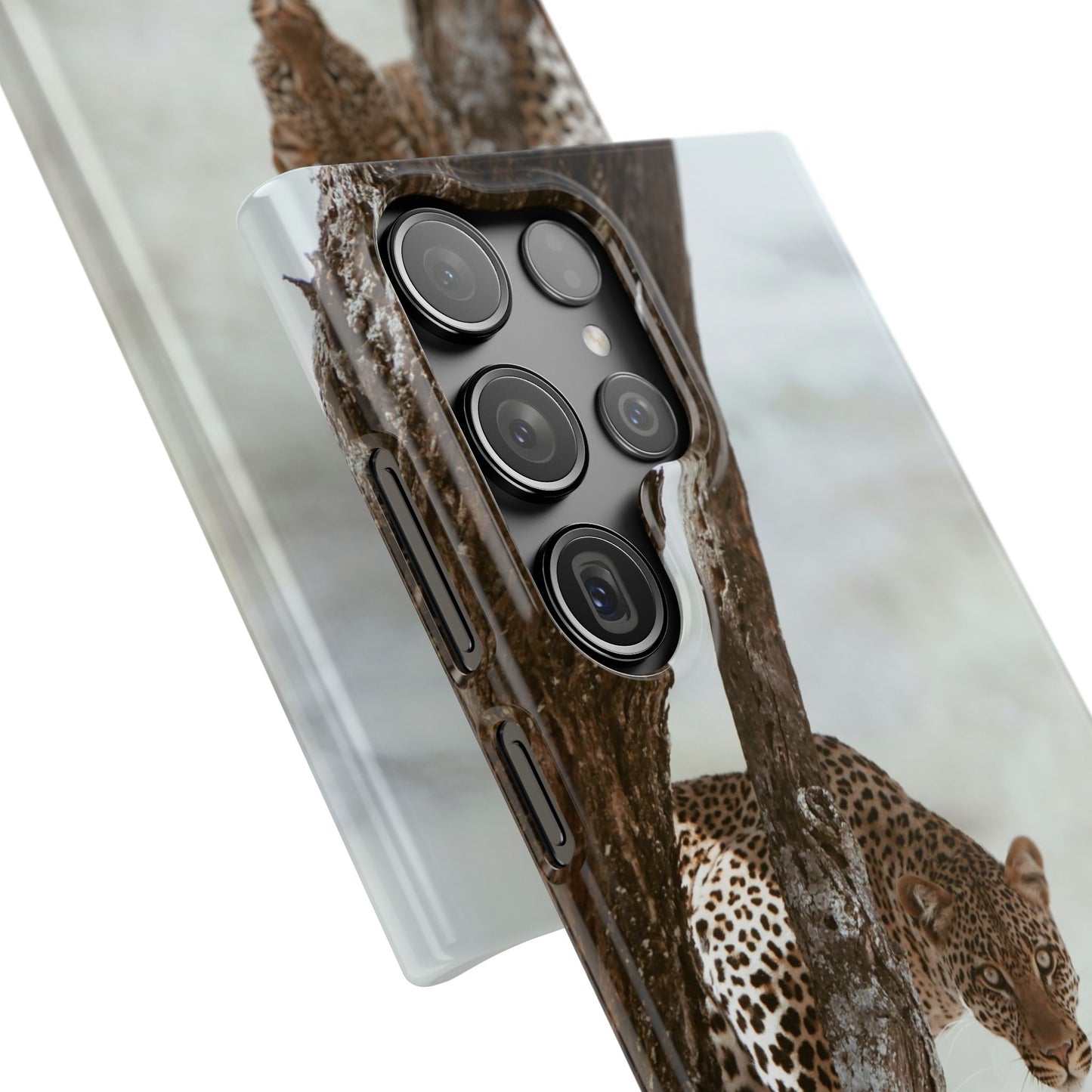 Leopard Cajasol - Wildlife Vibes