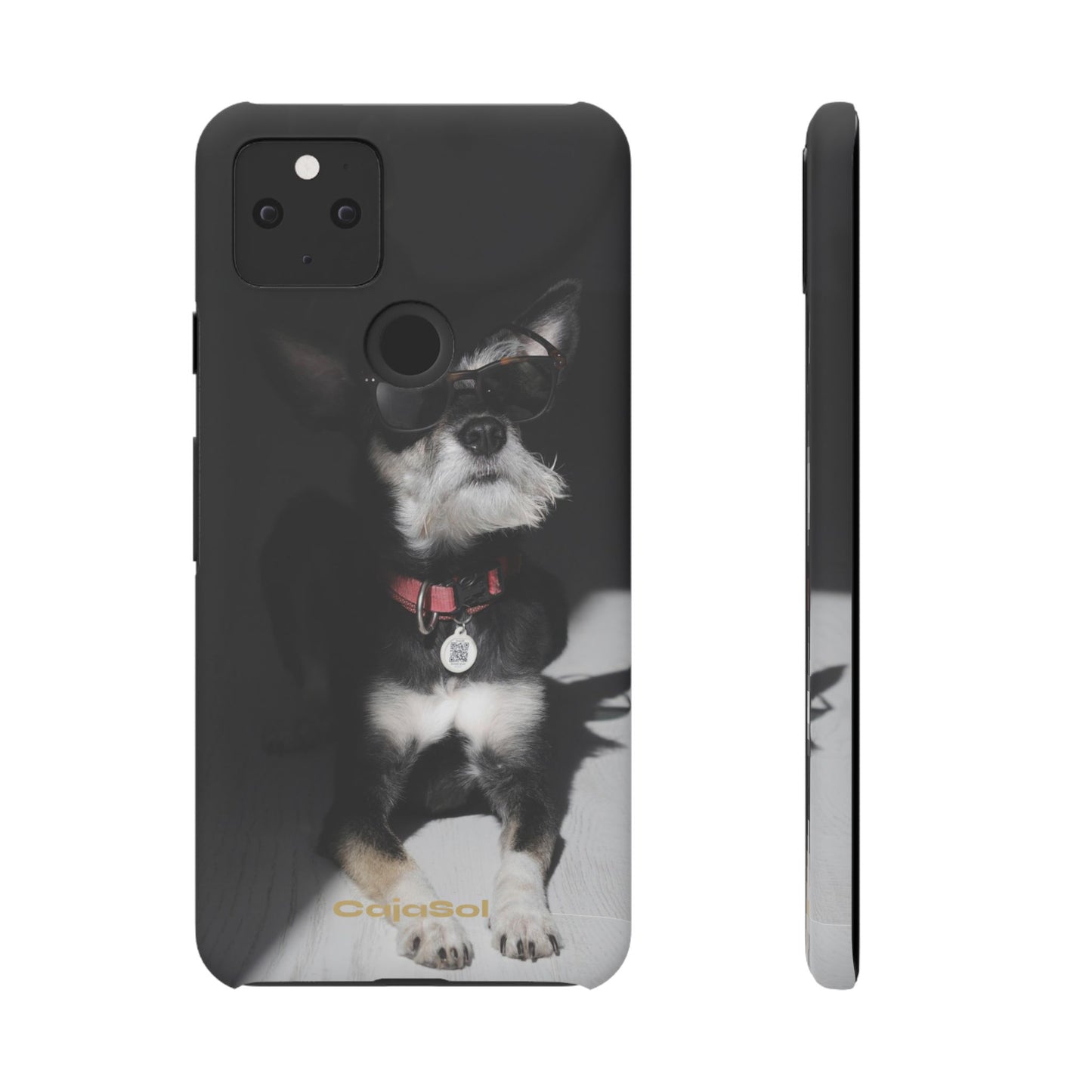 Cool Dog Cajasol - Stylish Pet