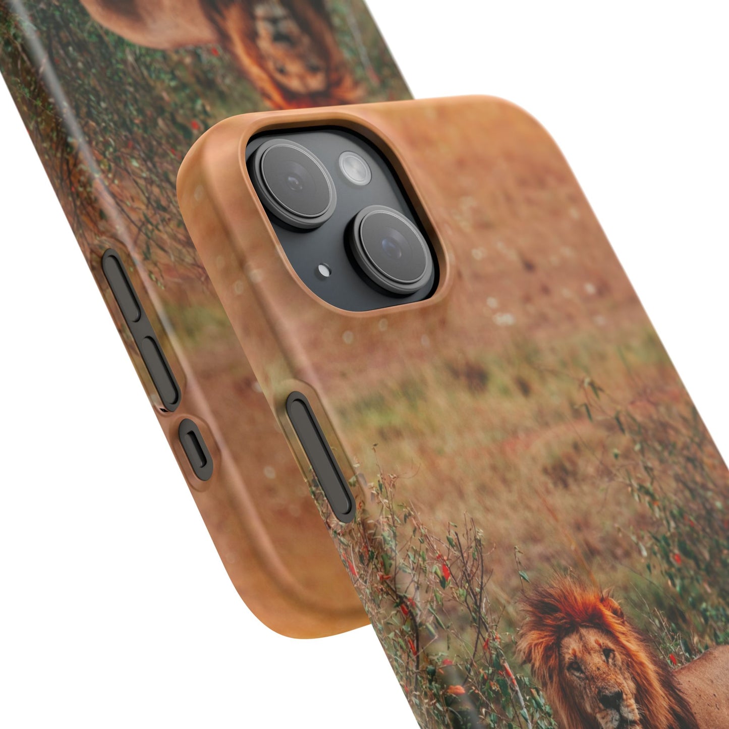 Majestic Lion Cajasol - Nature Inspired