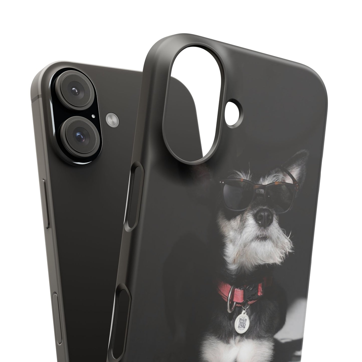 Cool Dog Cajasol - Stylish Pet