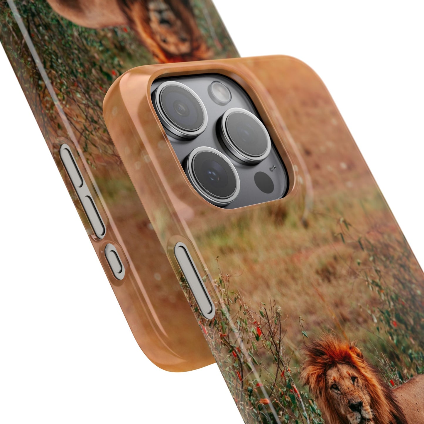 Majestic Lion Cajasol - Nature Inspired