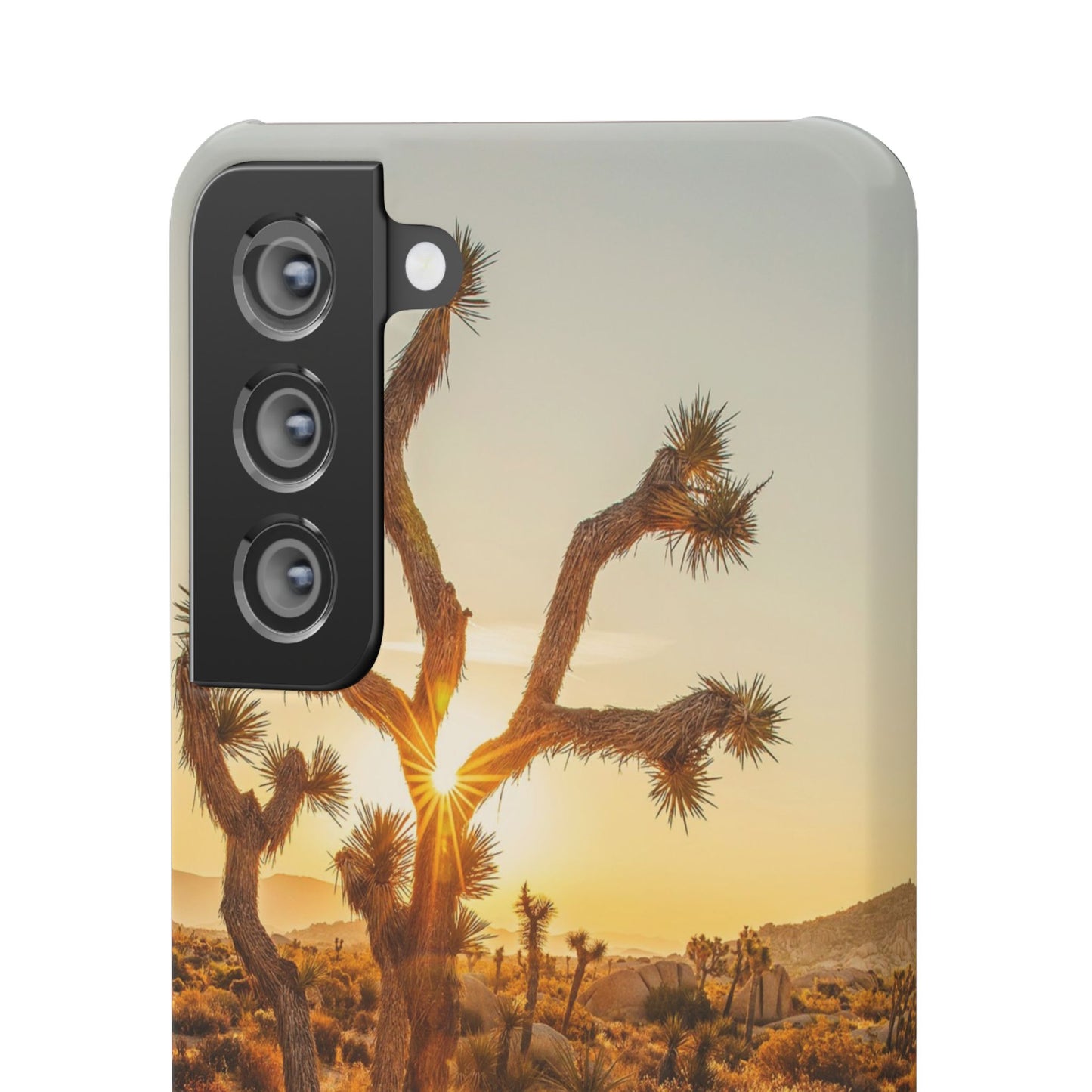 Desert Sunset Cajasol - Stylish Protection for Nature Lovers