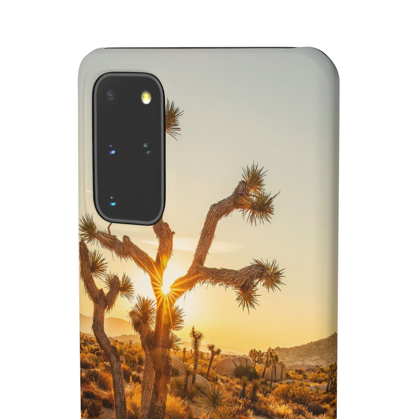 Desert Sunset Cajasol - Stylish Protection for Nature Lovers