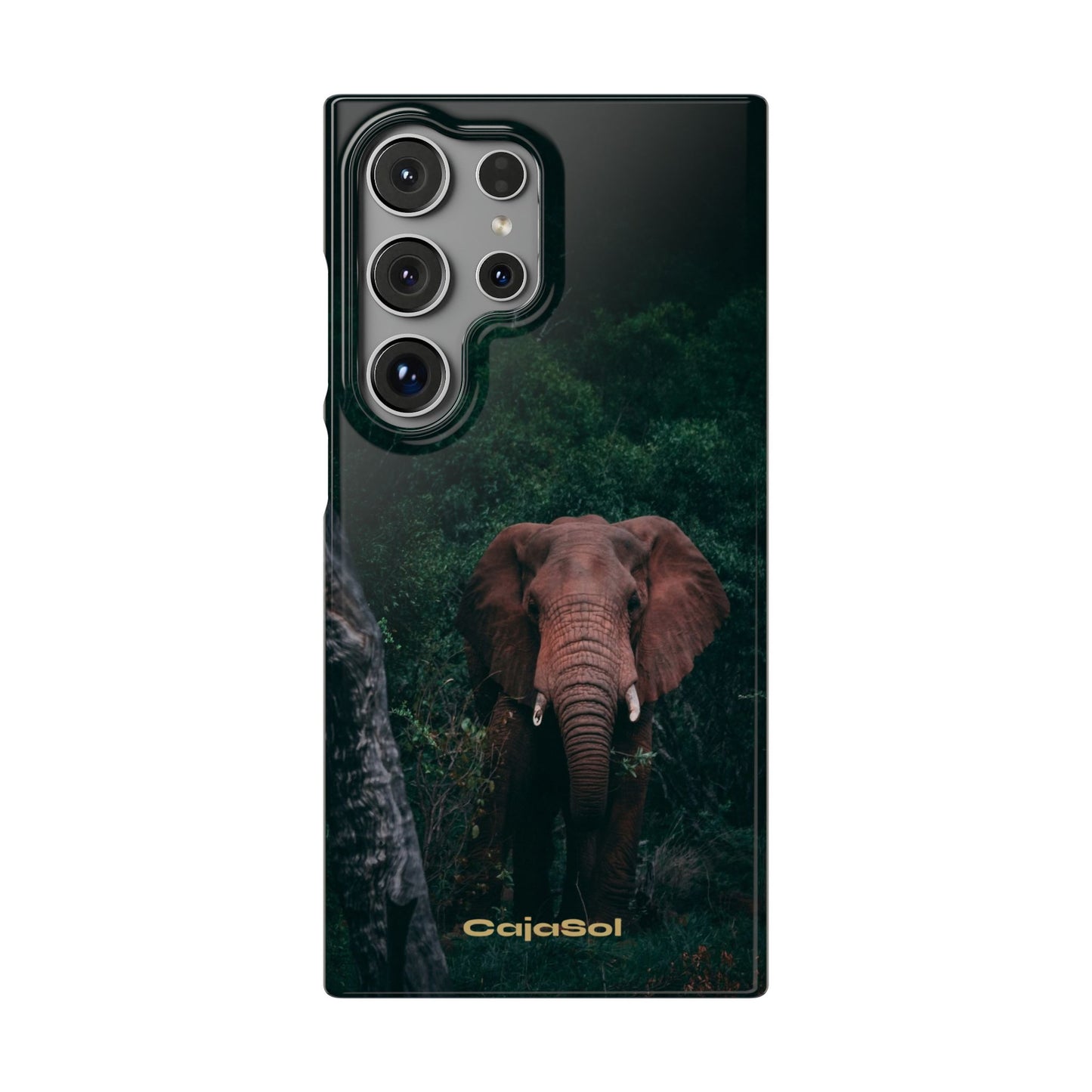 Wildlife Lover's Cajasol - Majestic Elephant