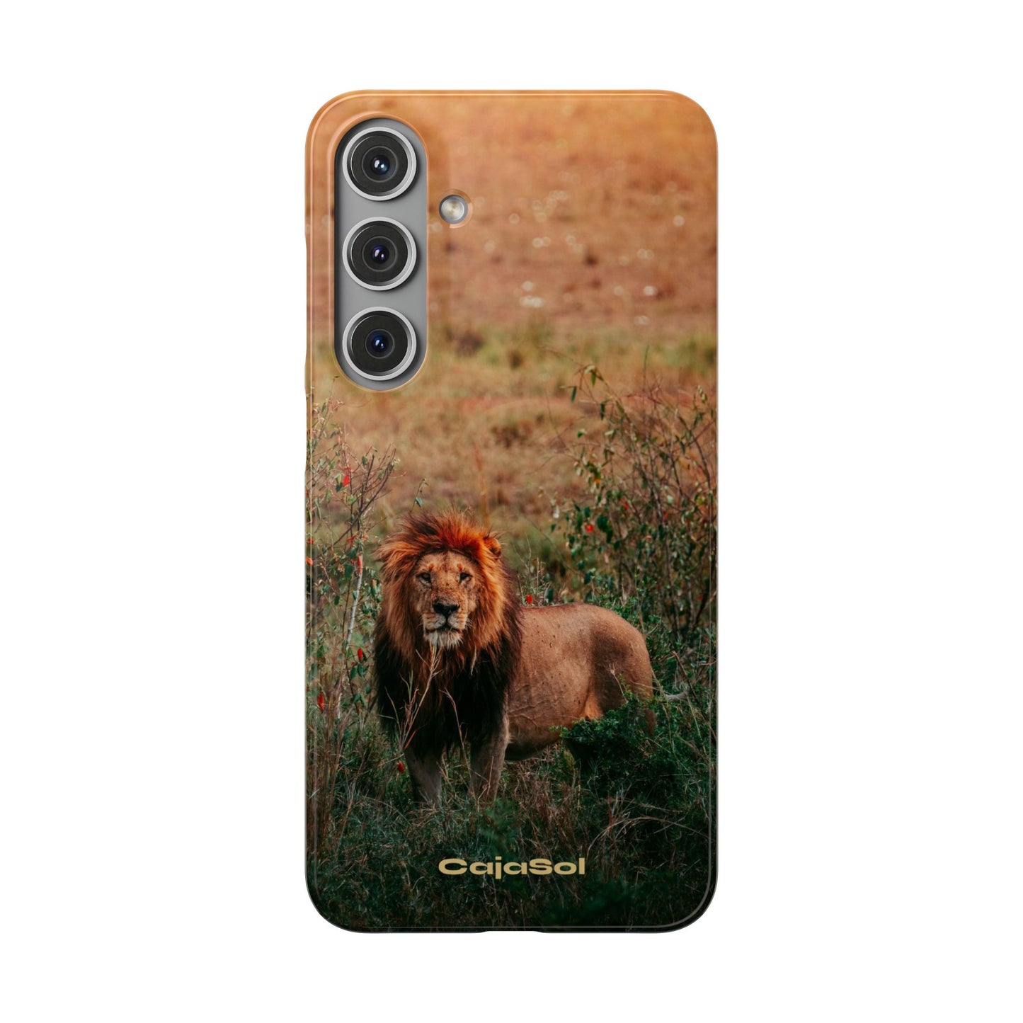 Majestic Lion Cajasol - Nature Inspired