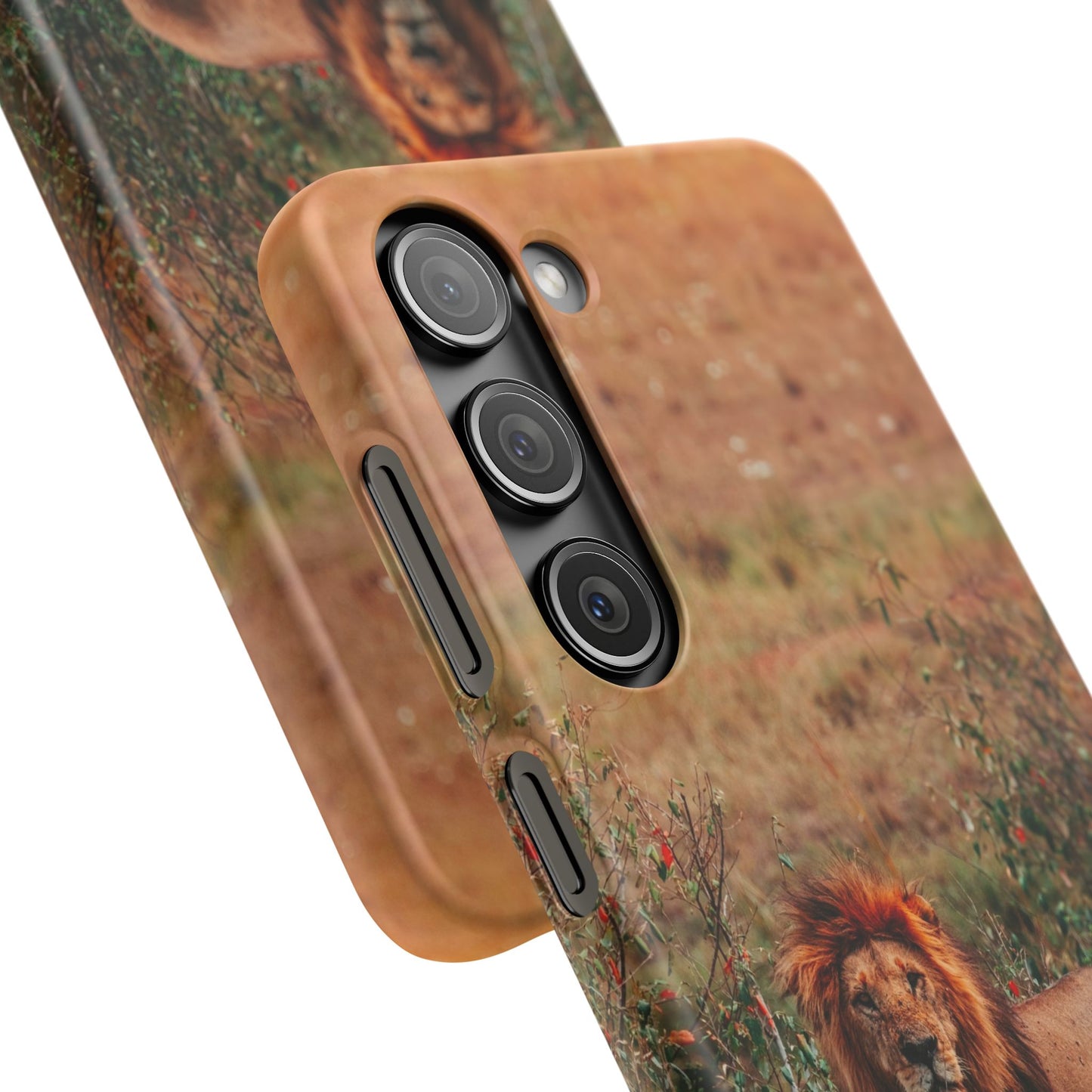 Majestic Lion Cajasol - Nature Inspired