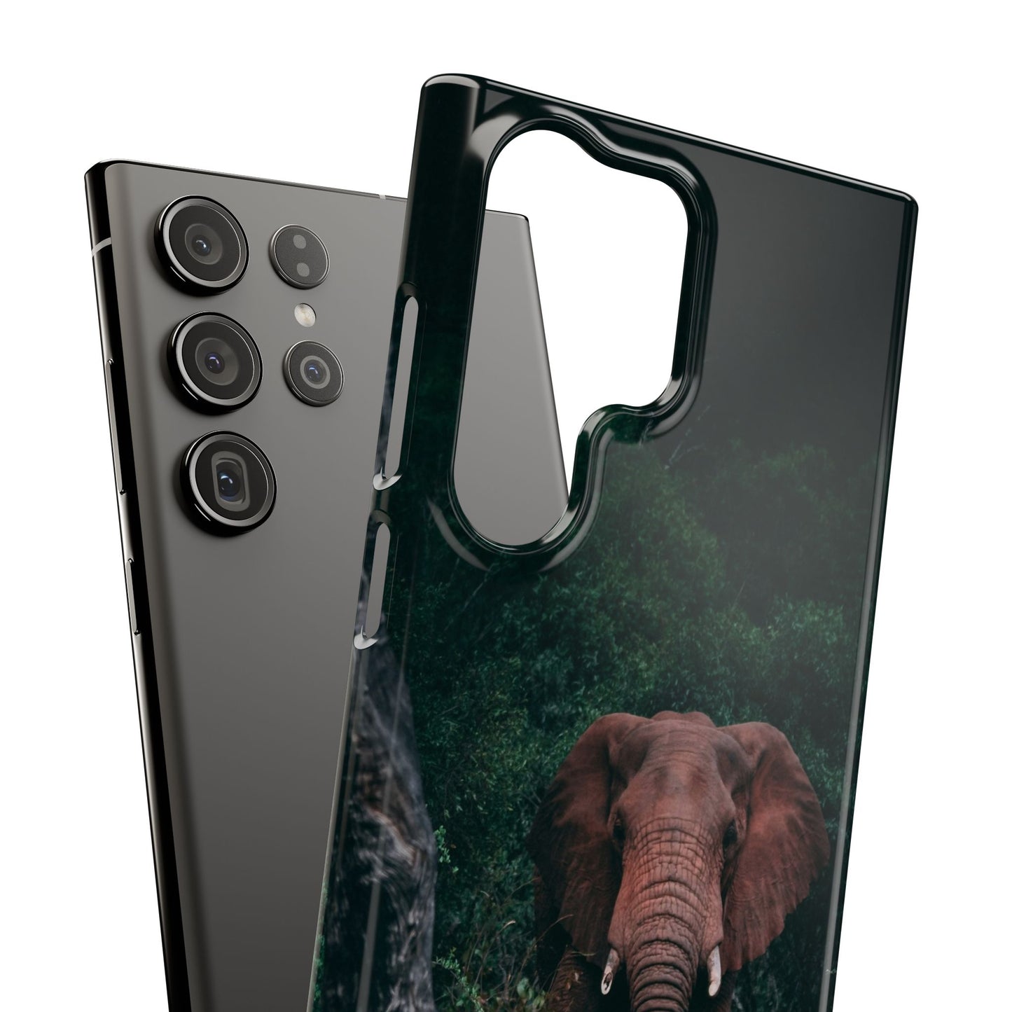 Wildlife Lover's Cajasol - Majestic Elephant