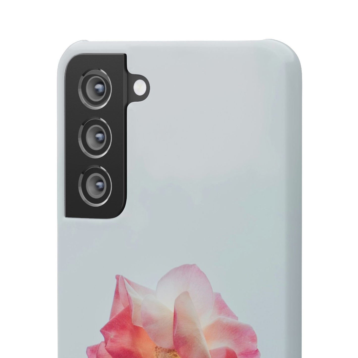 Floral Cajasol - Elegant Pink Flower