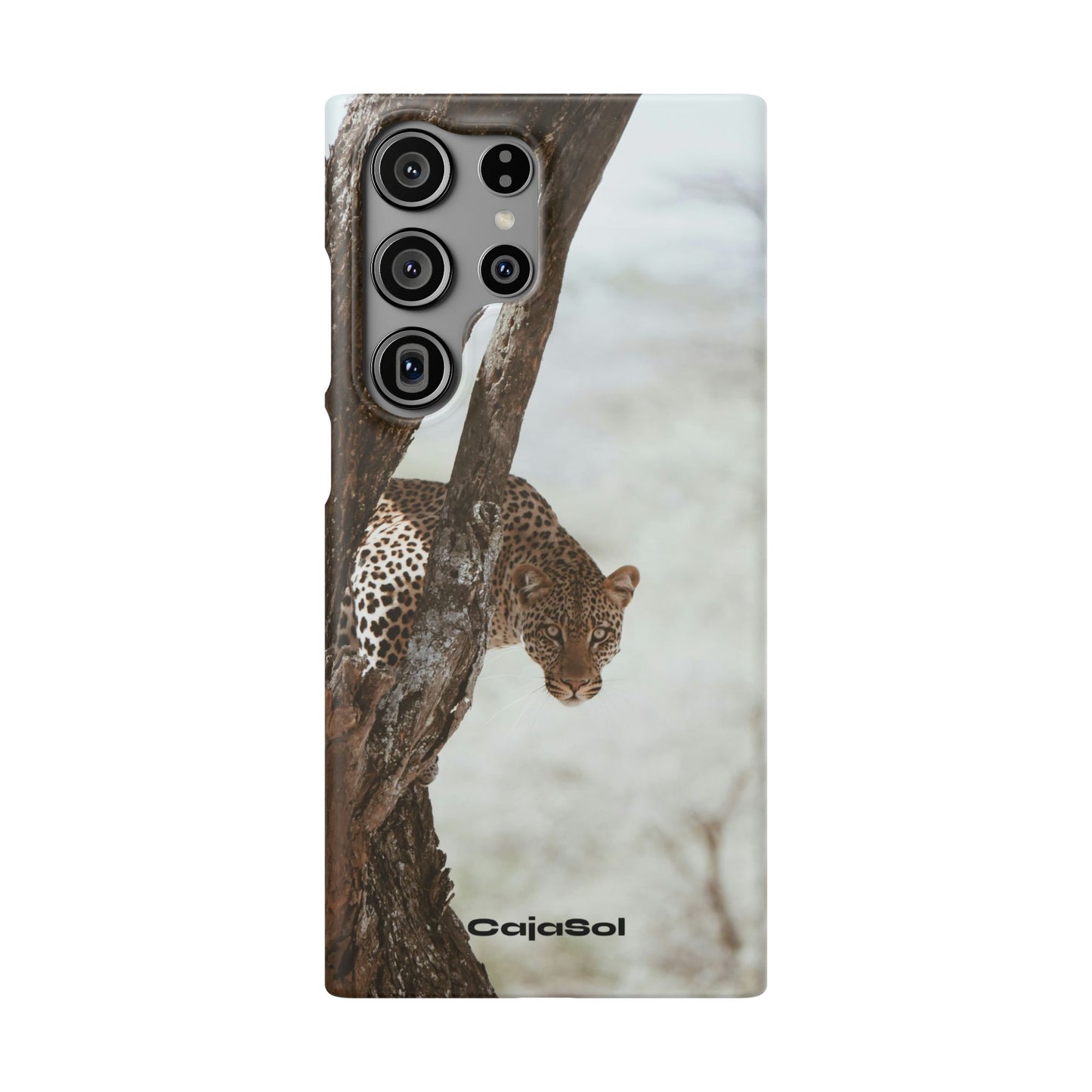 Leopard Cajasol - Wildlife Vibes