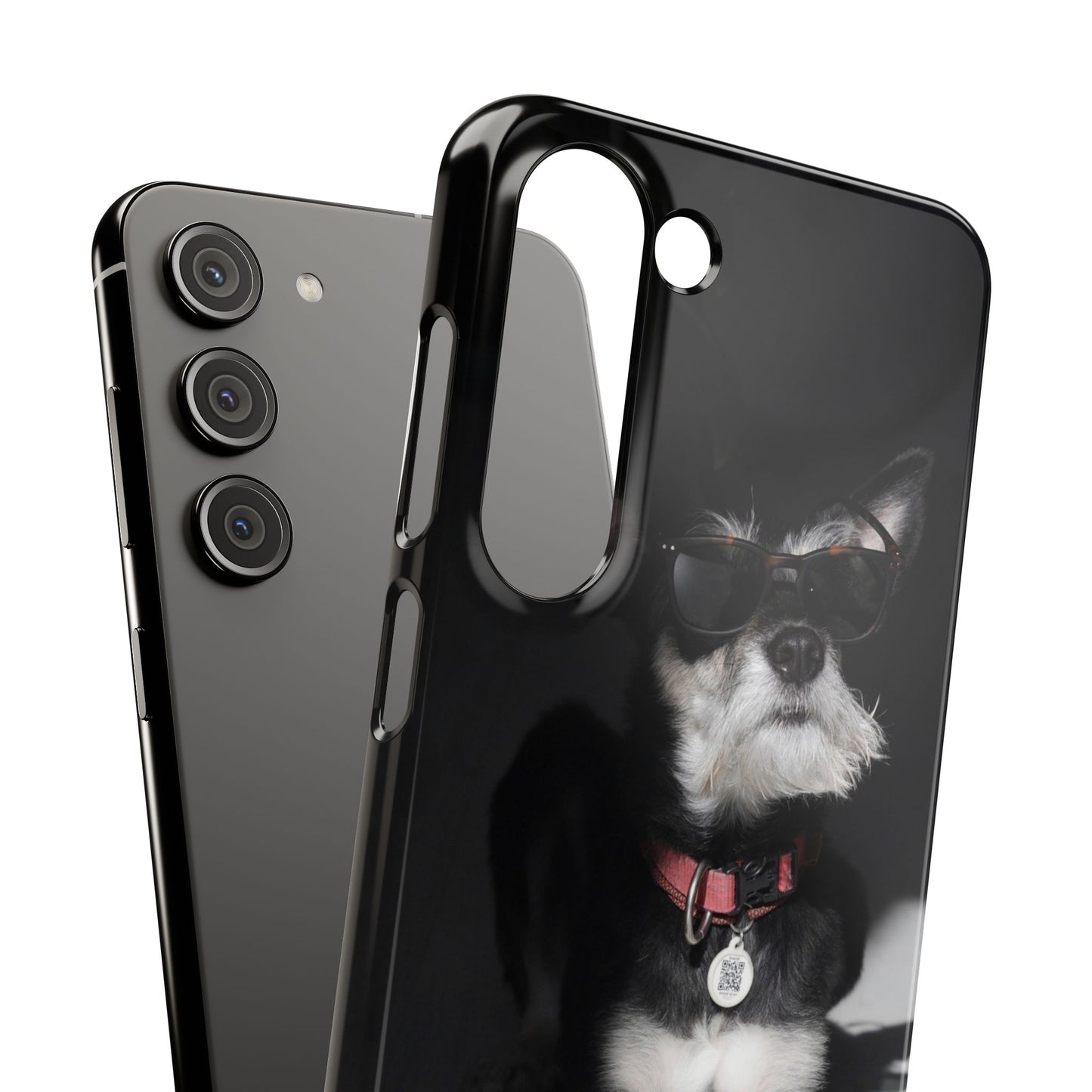 Cool Dog Cajasol - Stylish Pet