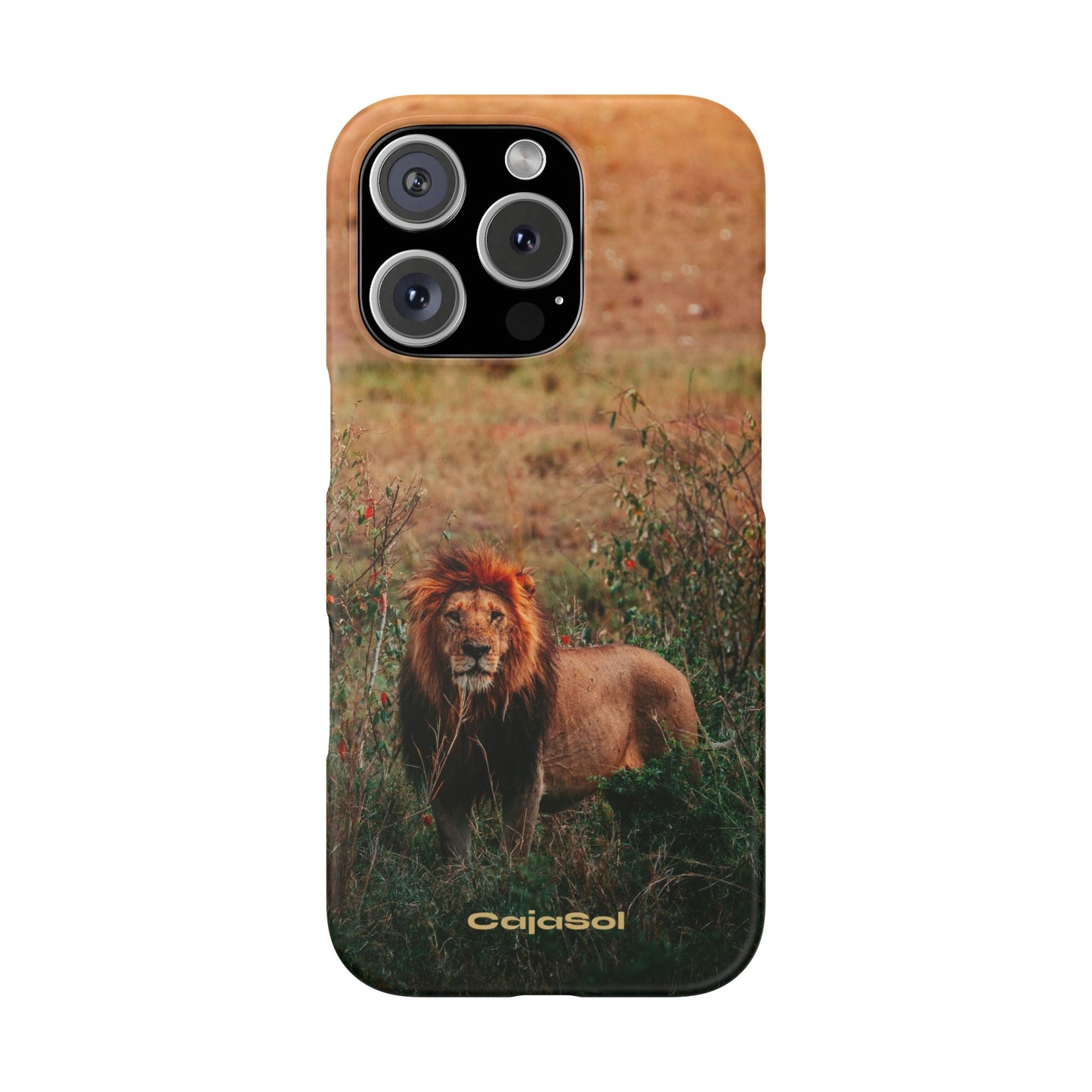 Majestic Lion Cajasol - Nature Inspired
