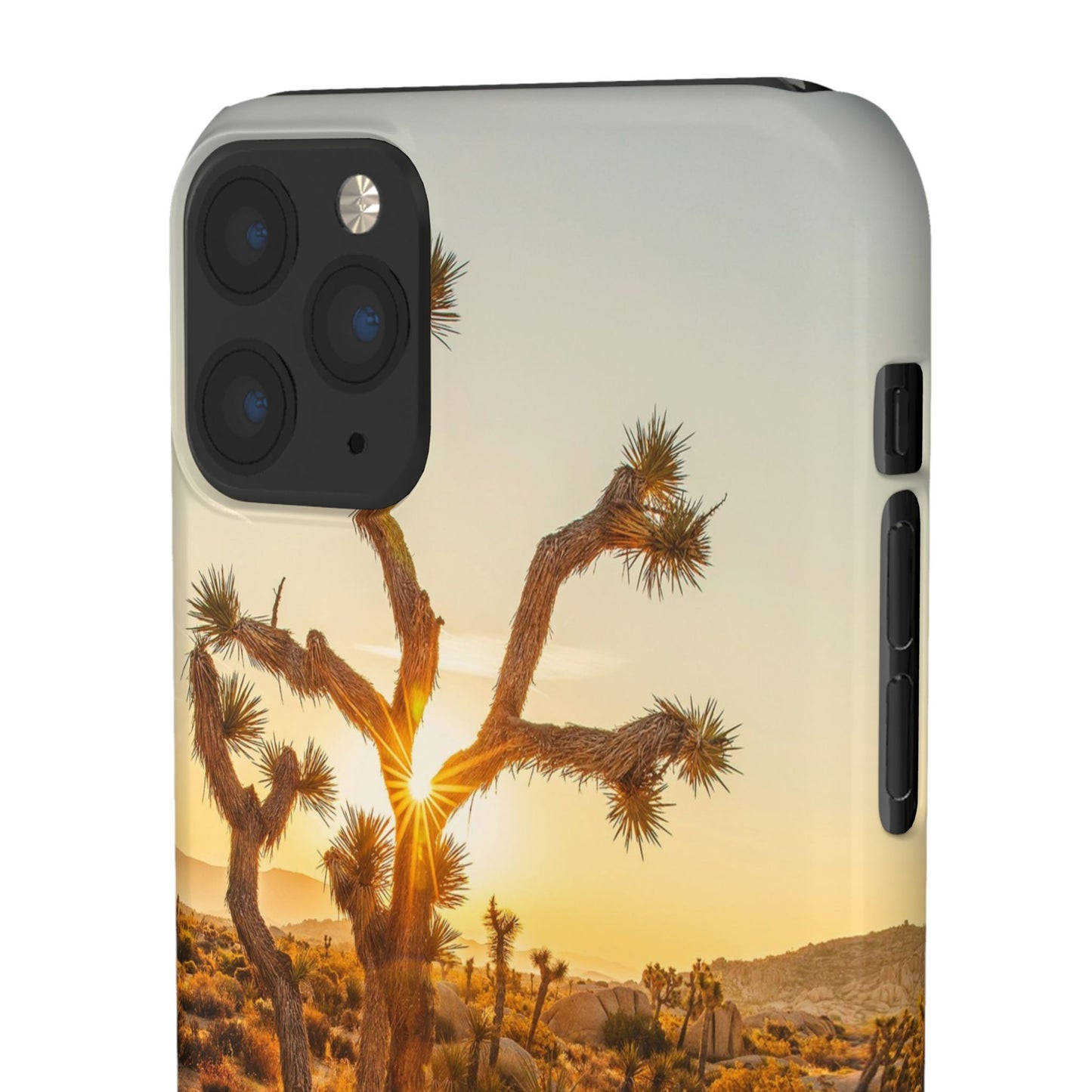 Desert Sunset Cajasol - Stylish Protection for Nature Lovers