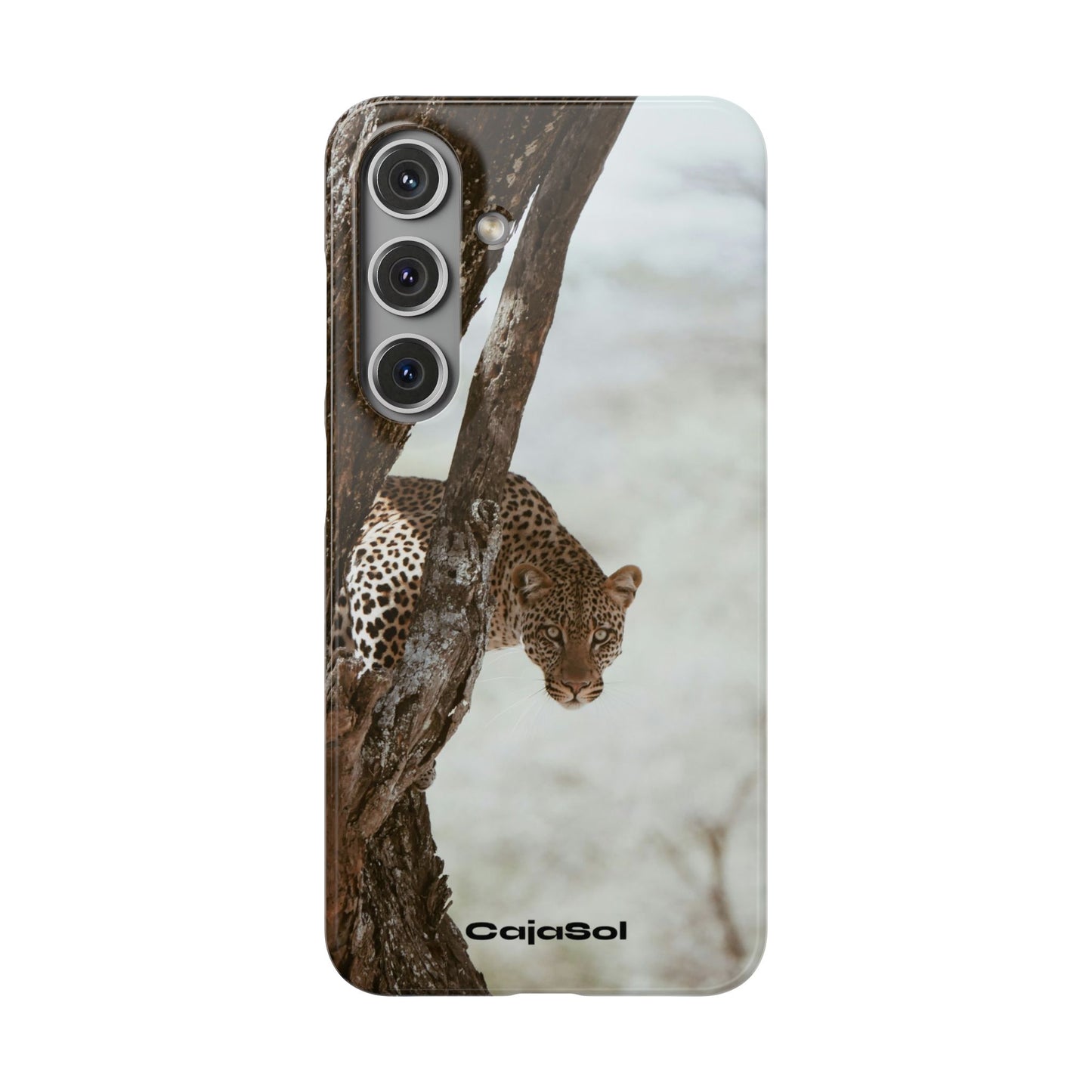 Leopard Cajasol - Wildlife Vibes