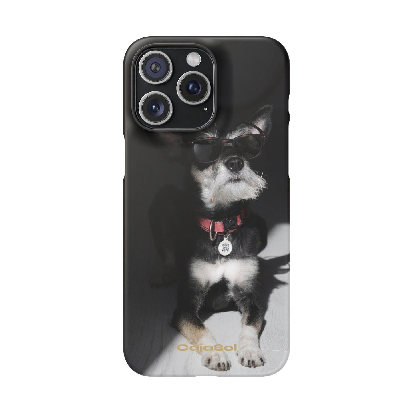 Cool Dog Cajasol - Stylish Pet
