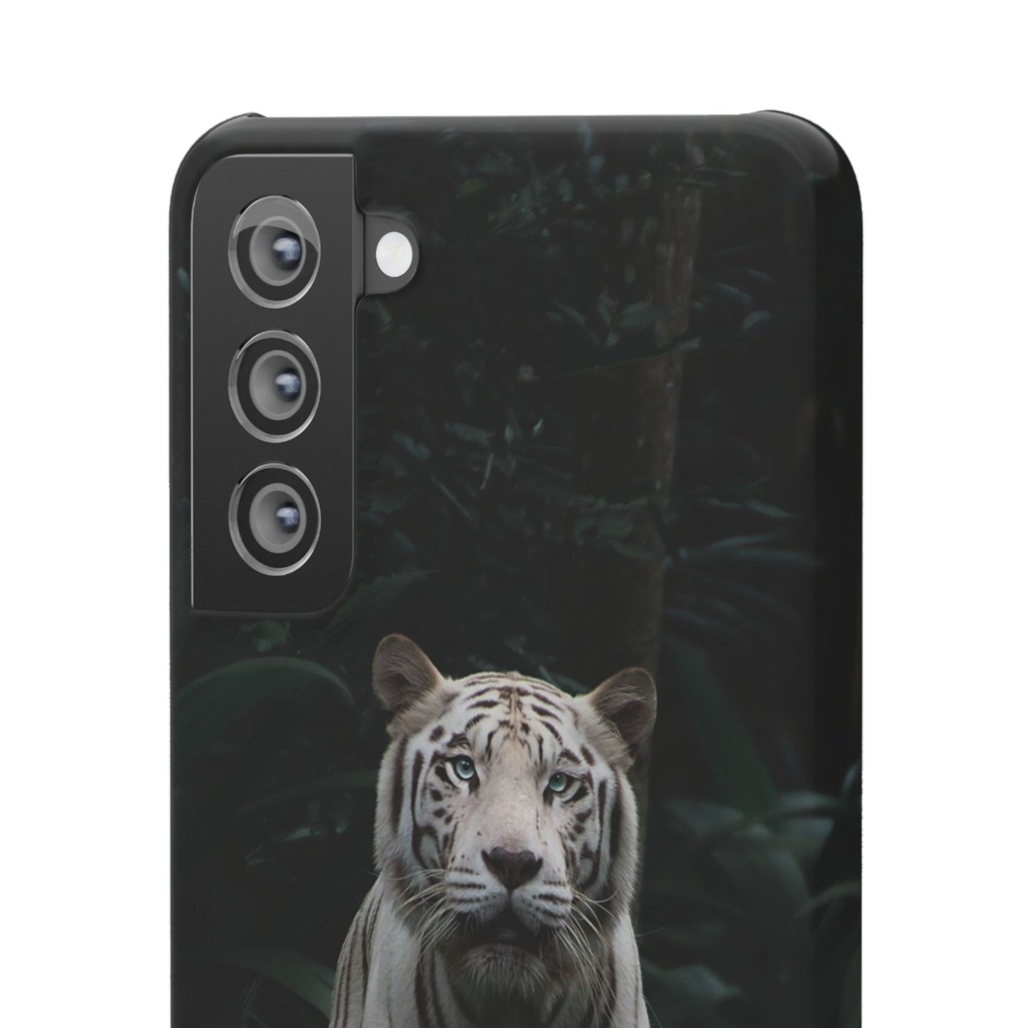 Majestic White Tiger Cajasol - Elegant & Protective for Wildlife Lovers