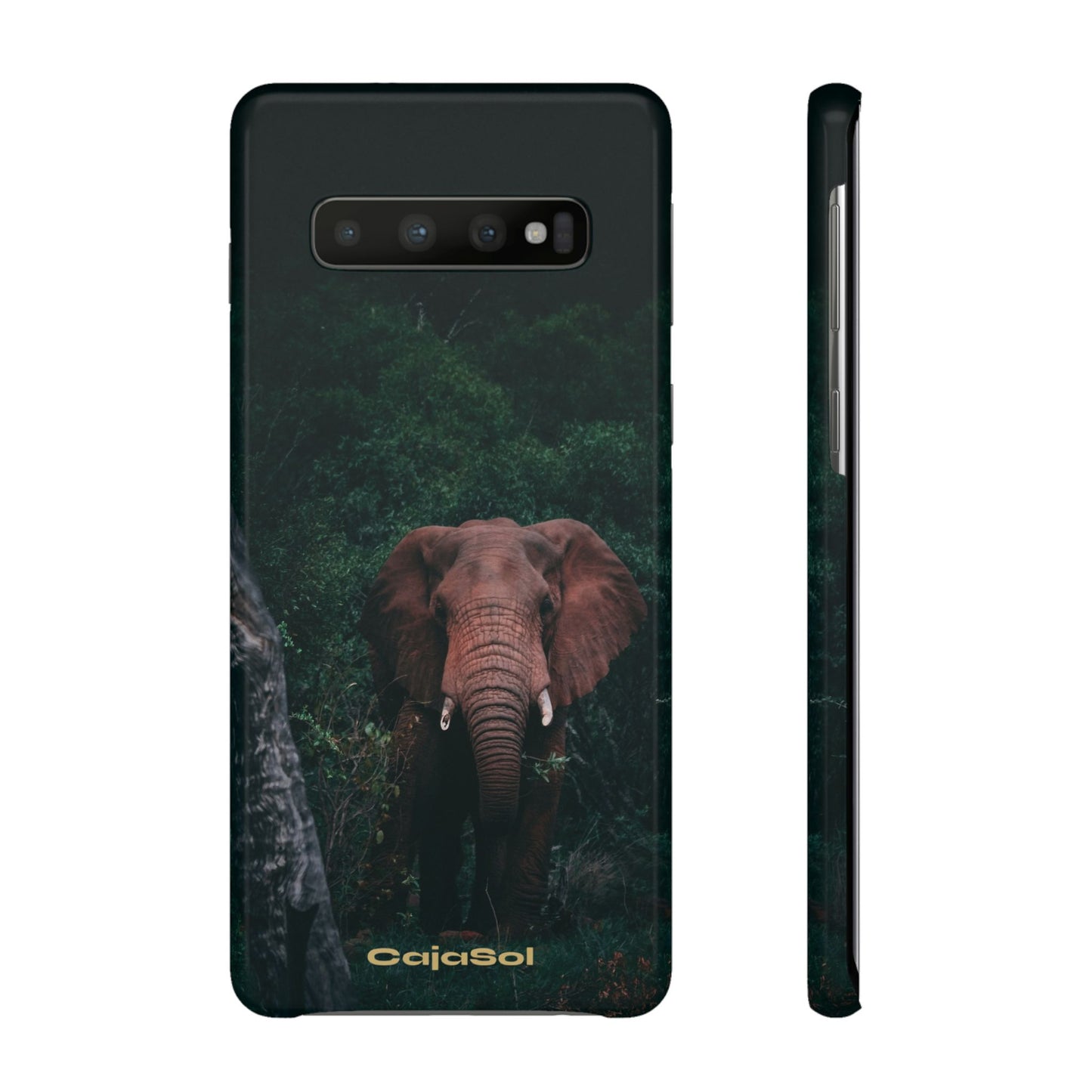 Wildlife Lover's Cajasol - Majestic Elephant