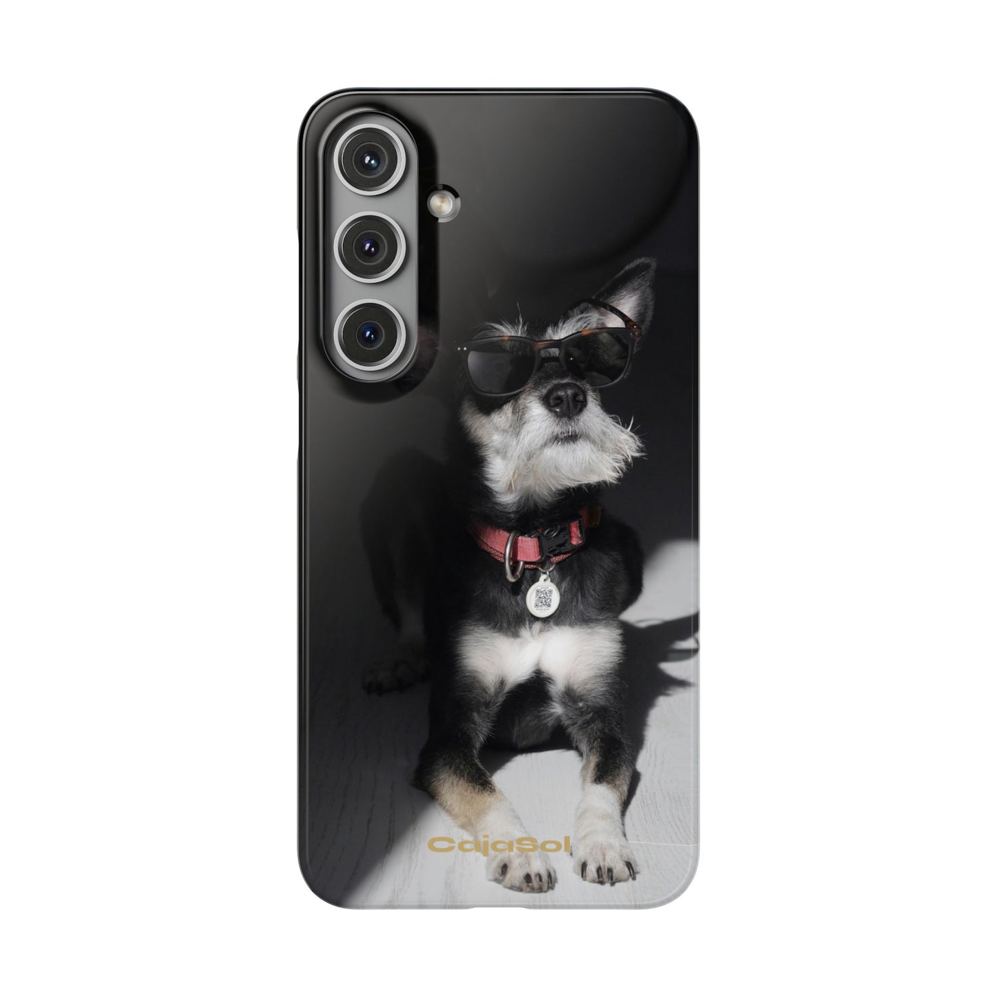 Cool Dog Cajasol - Stylish Pet