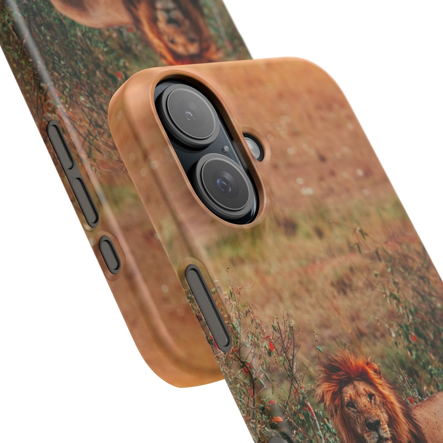 Majestic Lion Cajasol - Nature Inspired