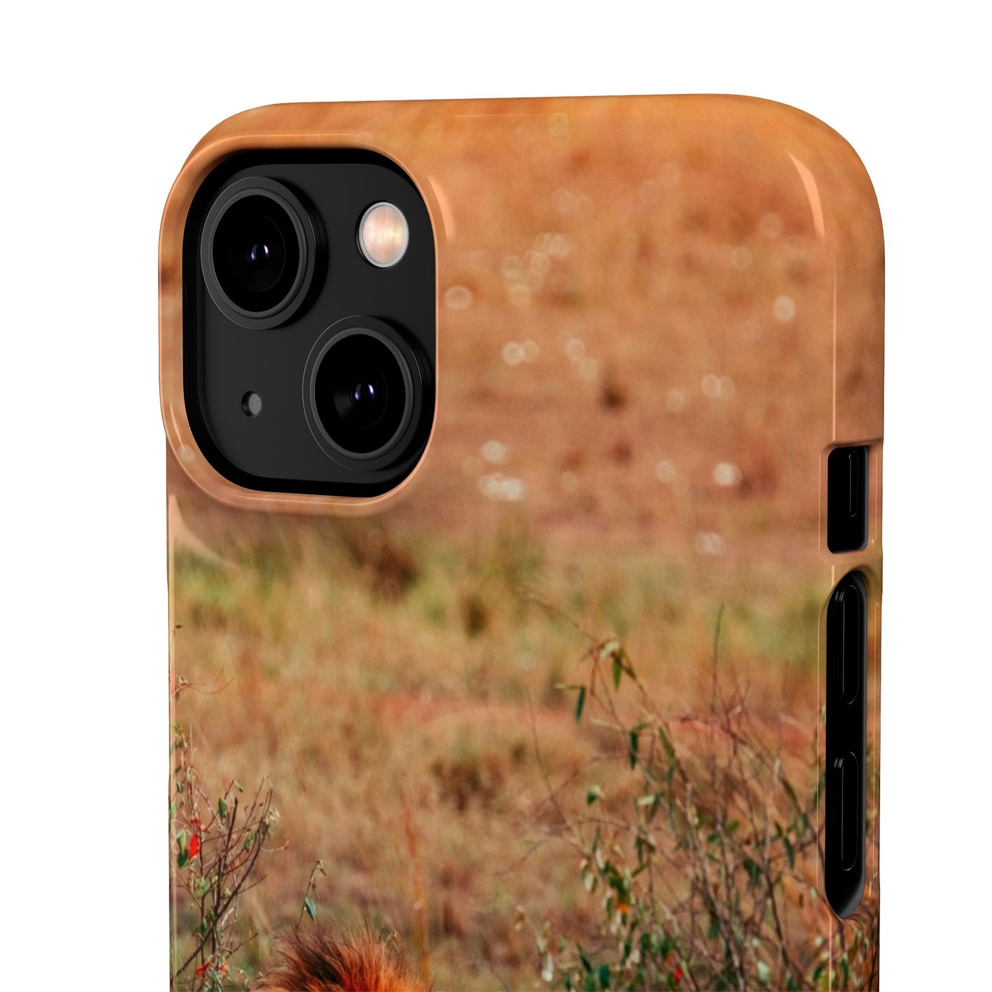 Majestic Lion Cajasol - Nature Inspired