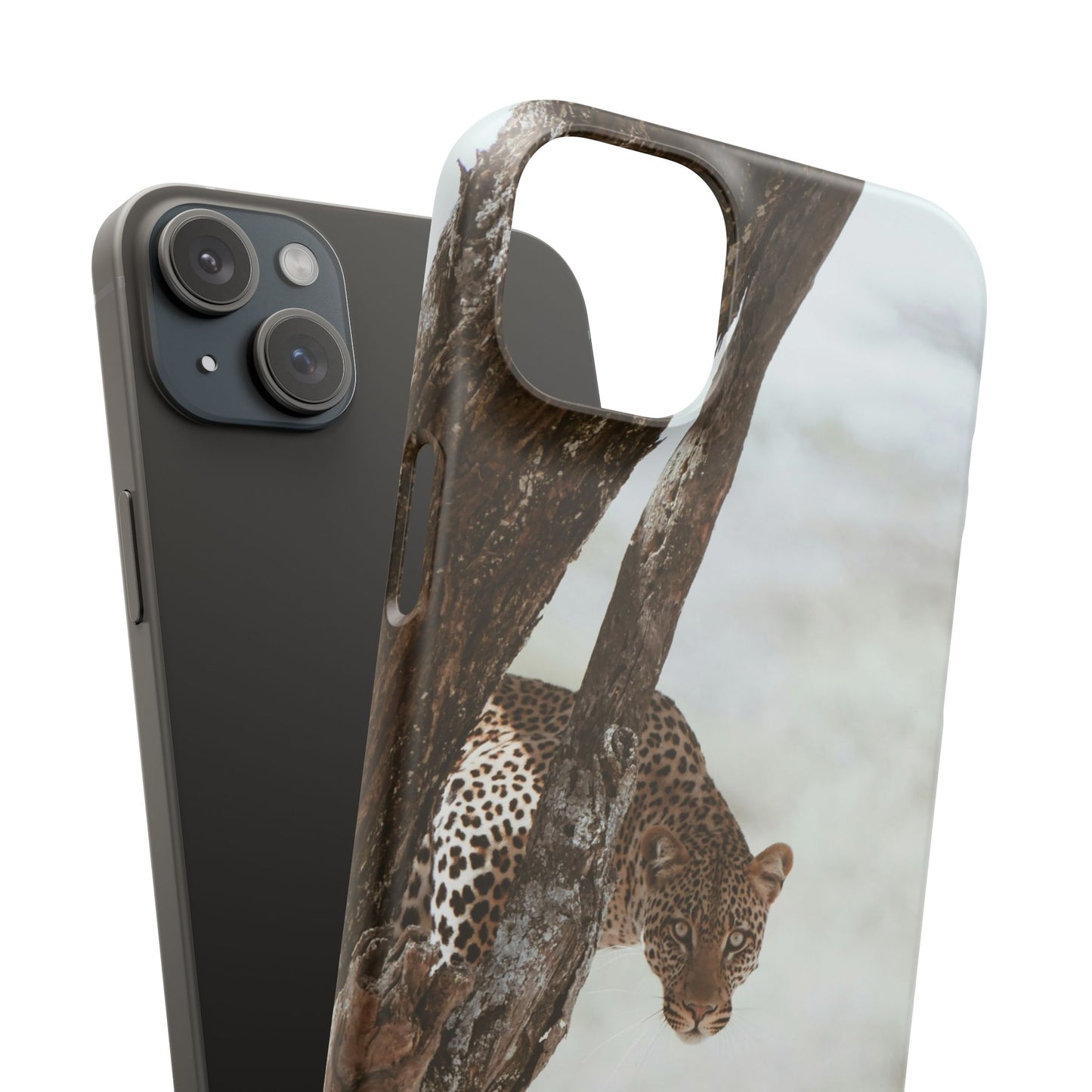 Leopard Cajasol - Wildlife Vibes