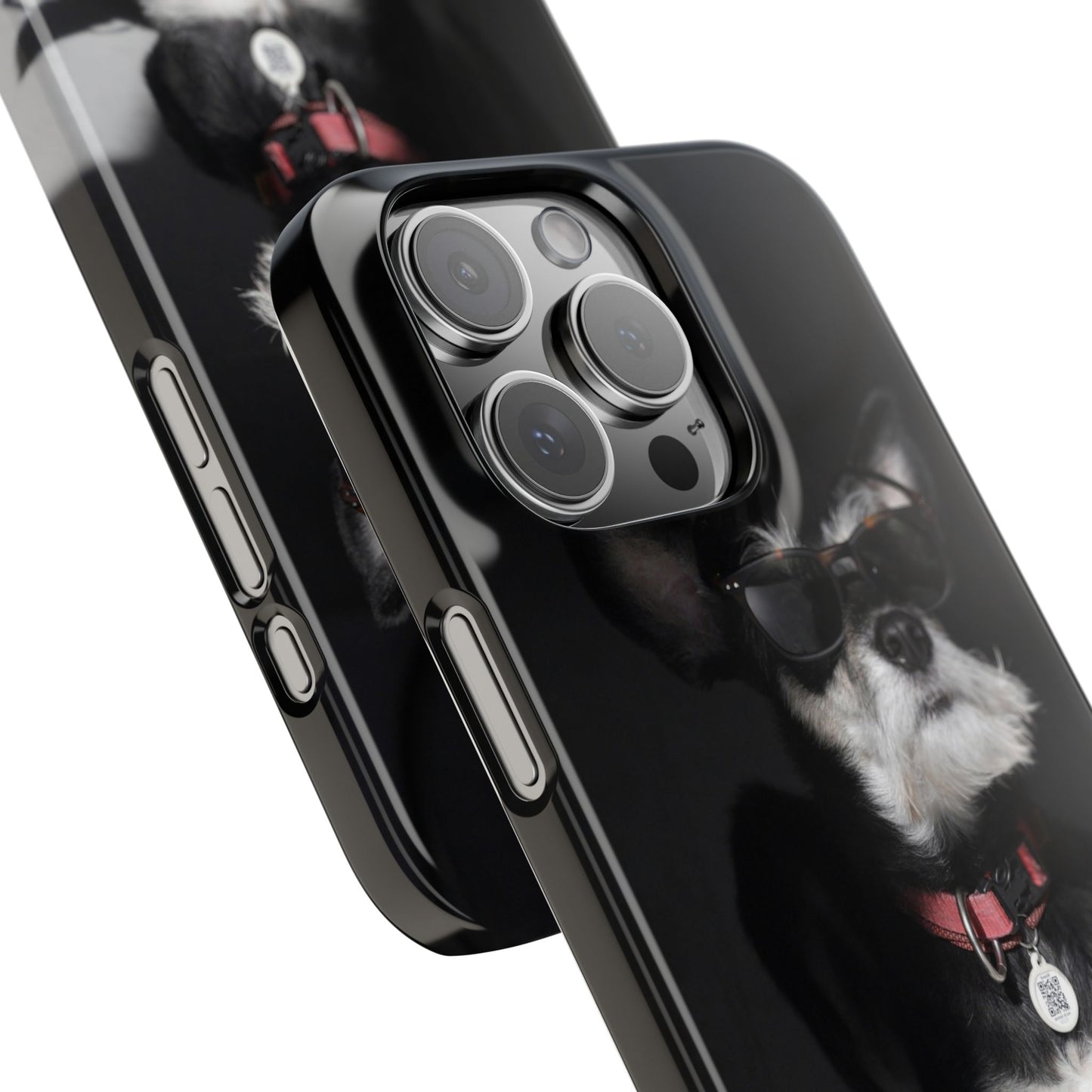 Cool Dog Cajasol - Stylish Pet