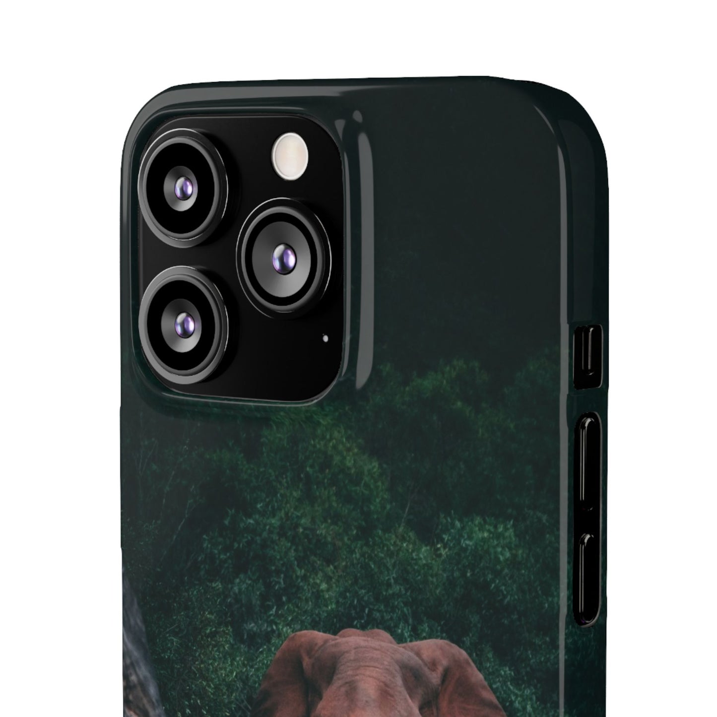Wildlife Lover's Cajasol - Majestic Elephant