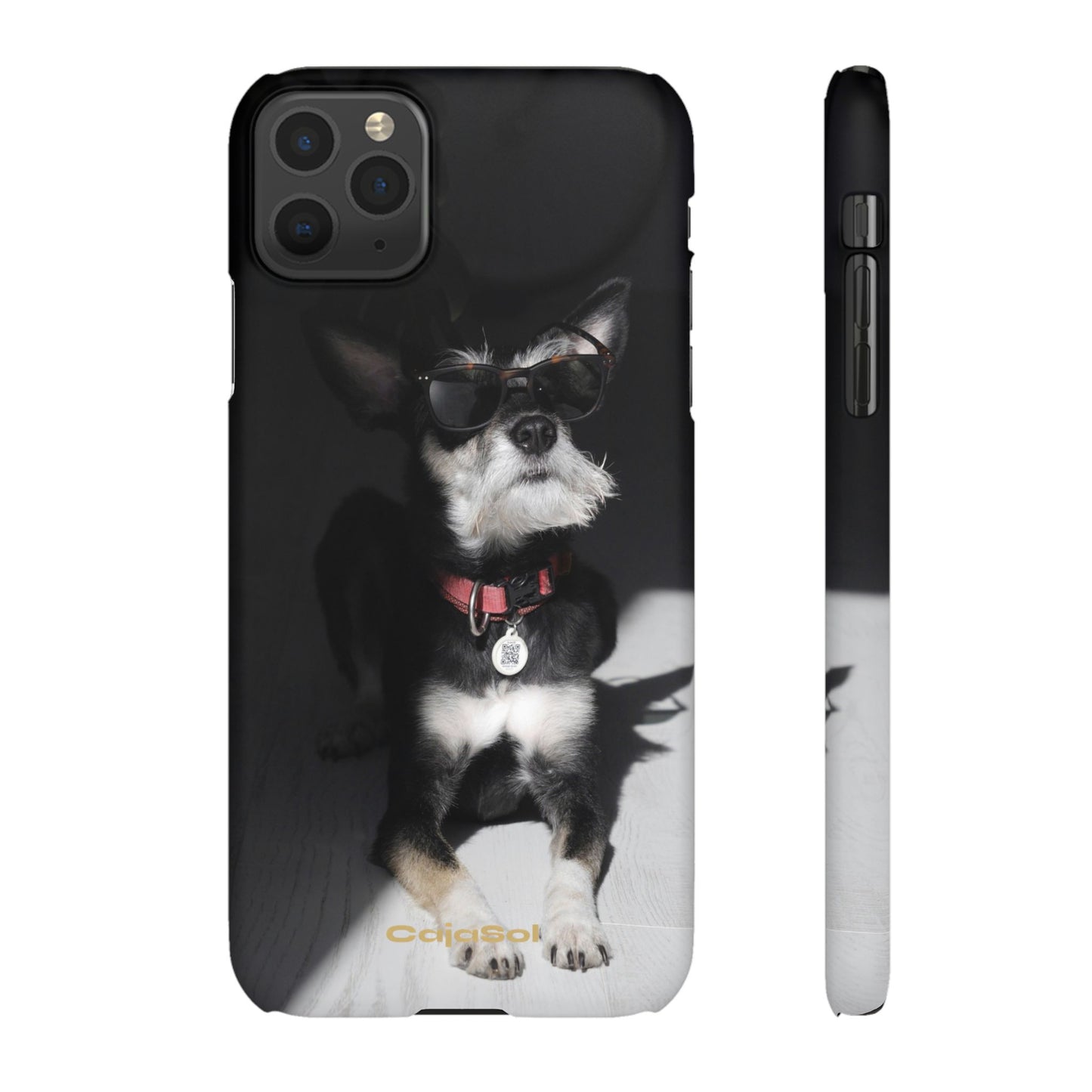 Cool Dog Cajasol - Stylish Pet