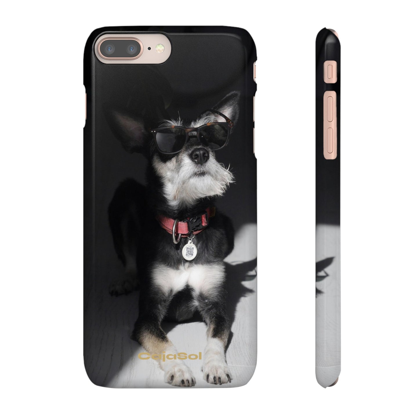 Cool Dog Cajasol - Stylish Pet