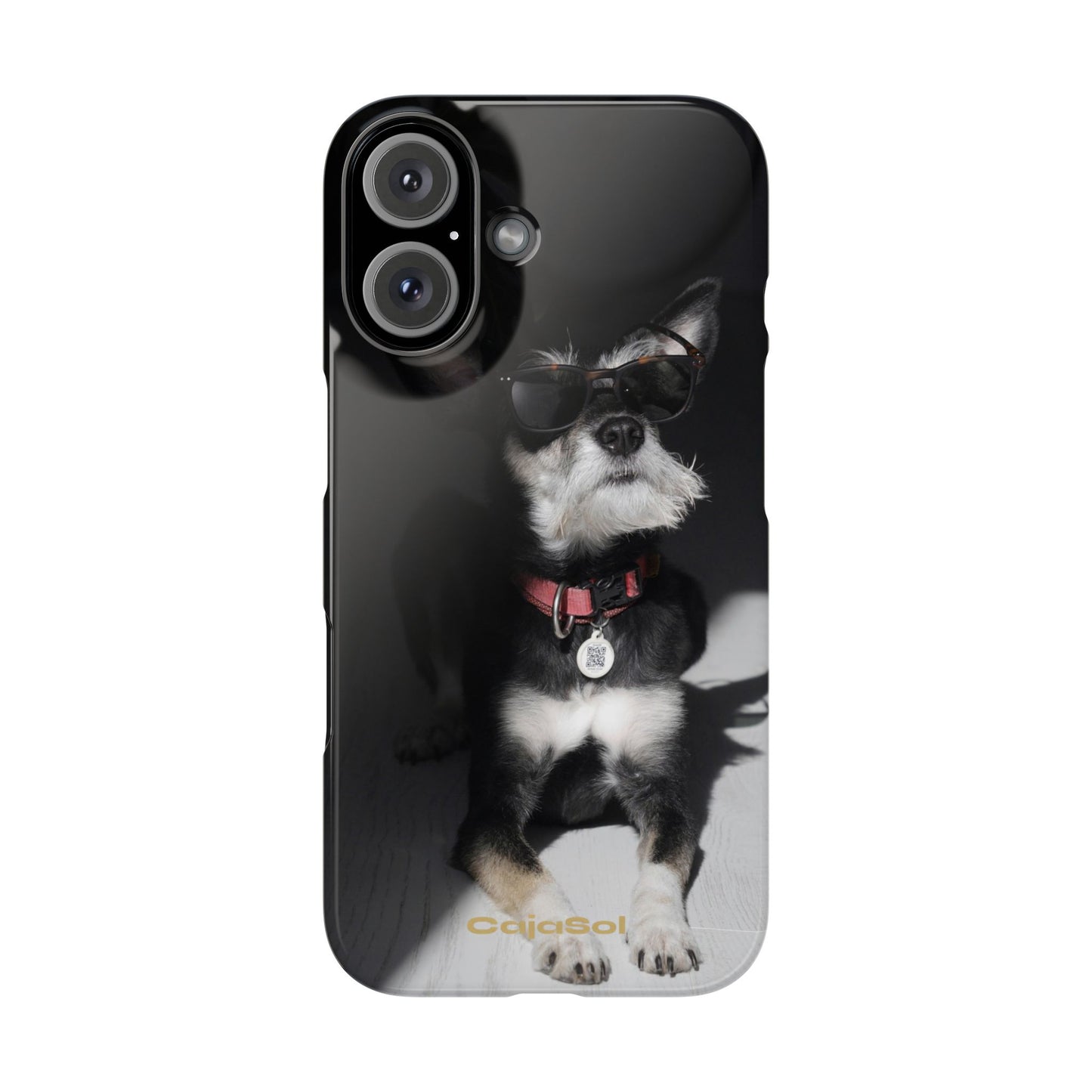 Cool Dog Cajasol - Stylish Pet