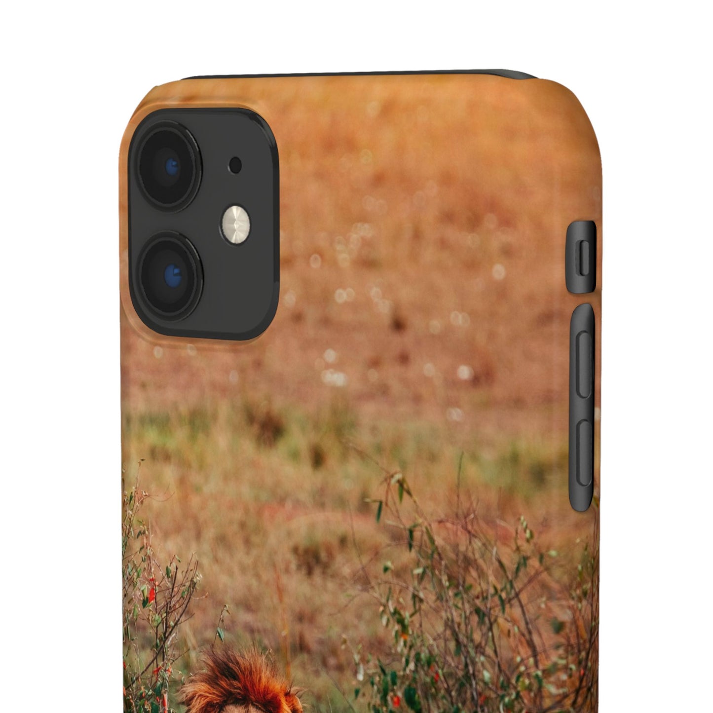 Majestic Lion Cajasol - Nature Inspired