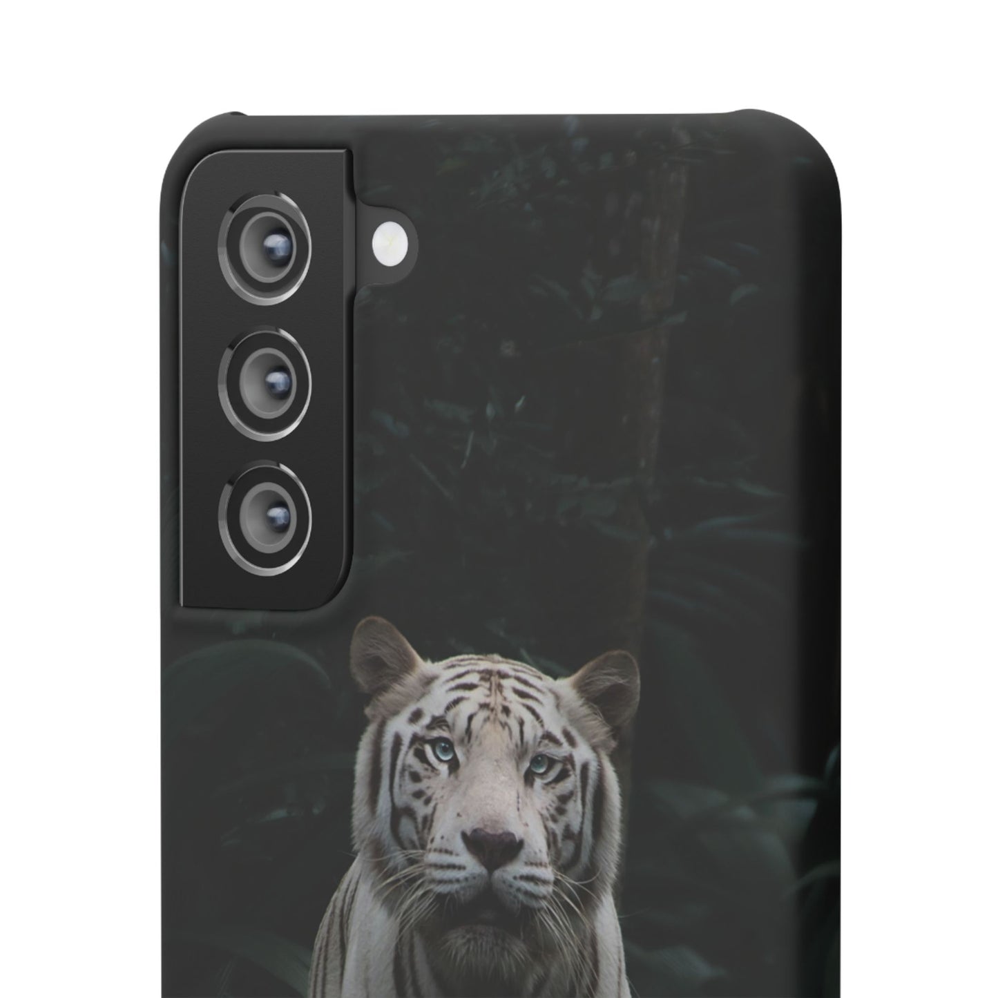 Majestic White Tiger Cajasol - Elegant & Protective for Wildlife Lovers