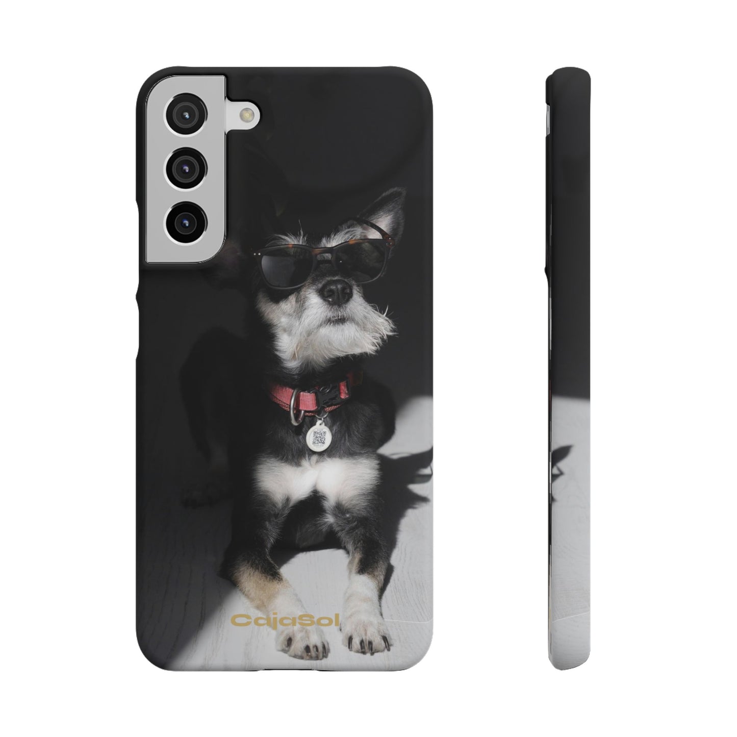 Cool Dog Cajasol - Stylish Pet